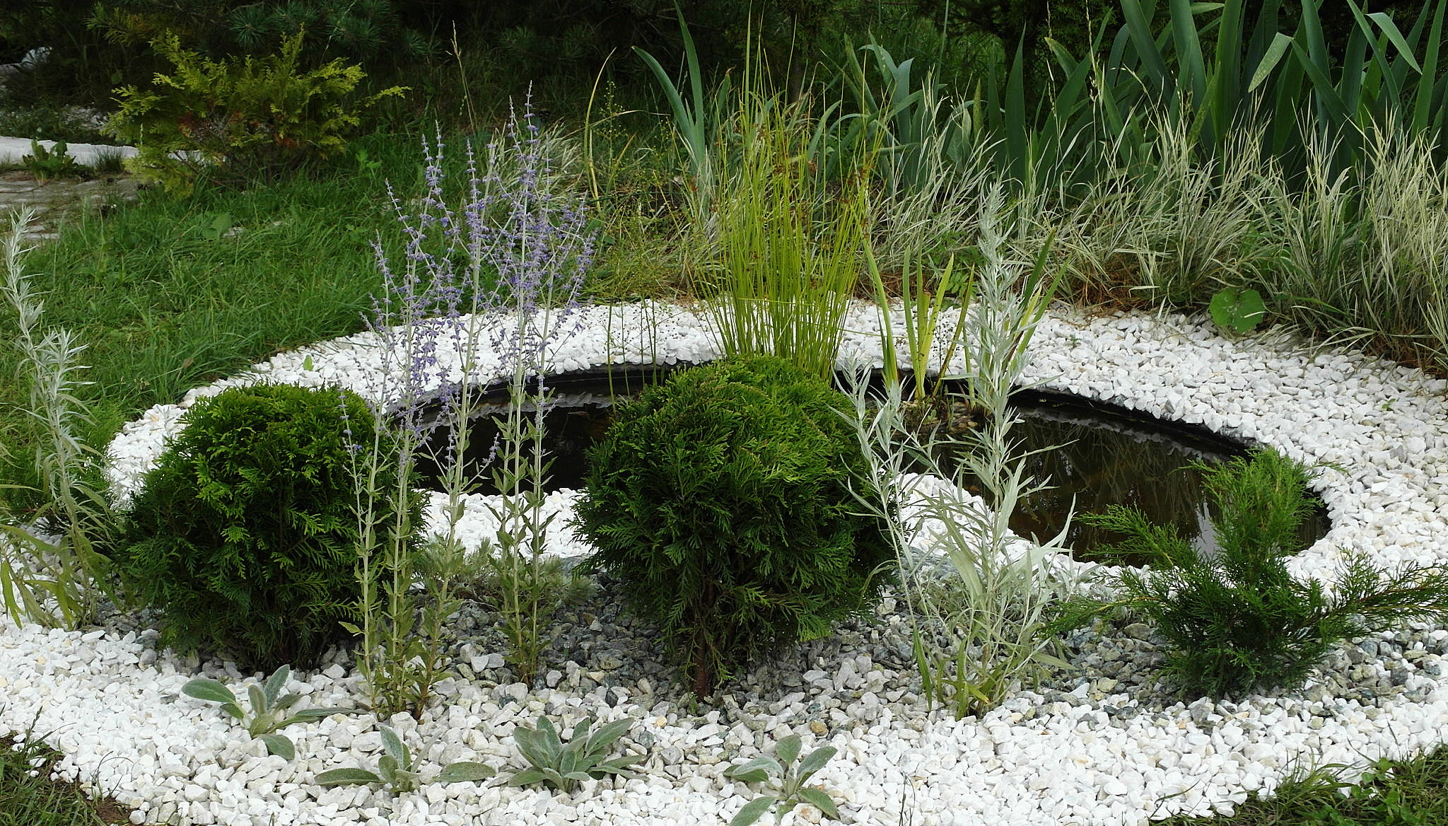 Что-то с чем-то: Как создавать композиции из растений