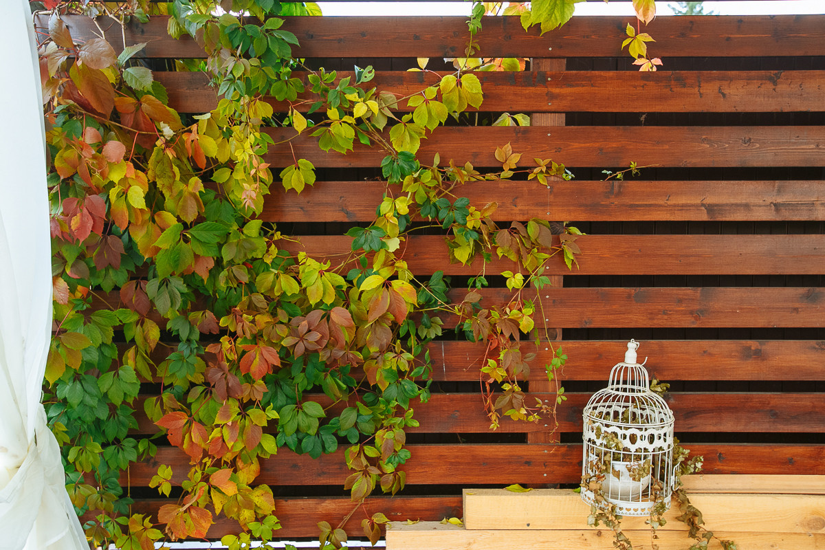 Проект недели: Пестрый сад в Рязанской области