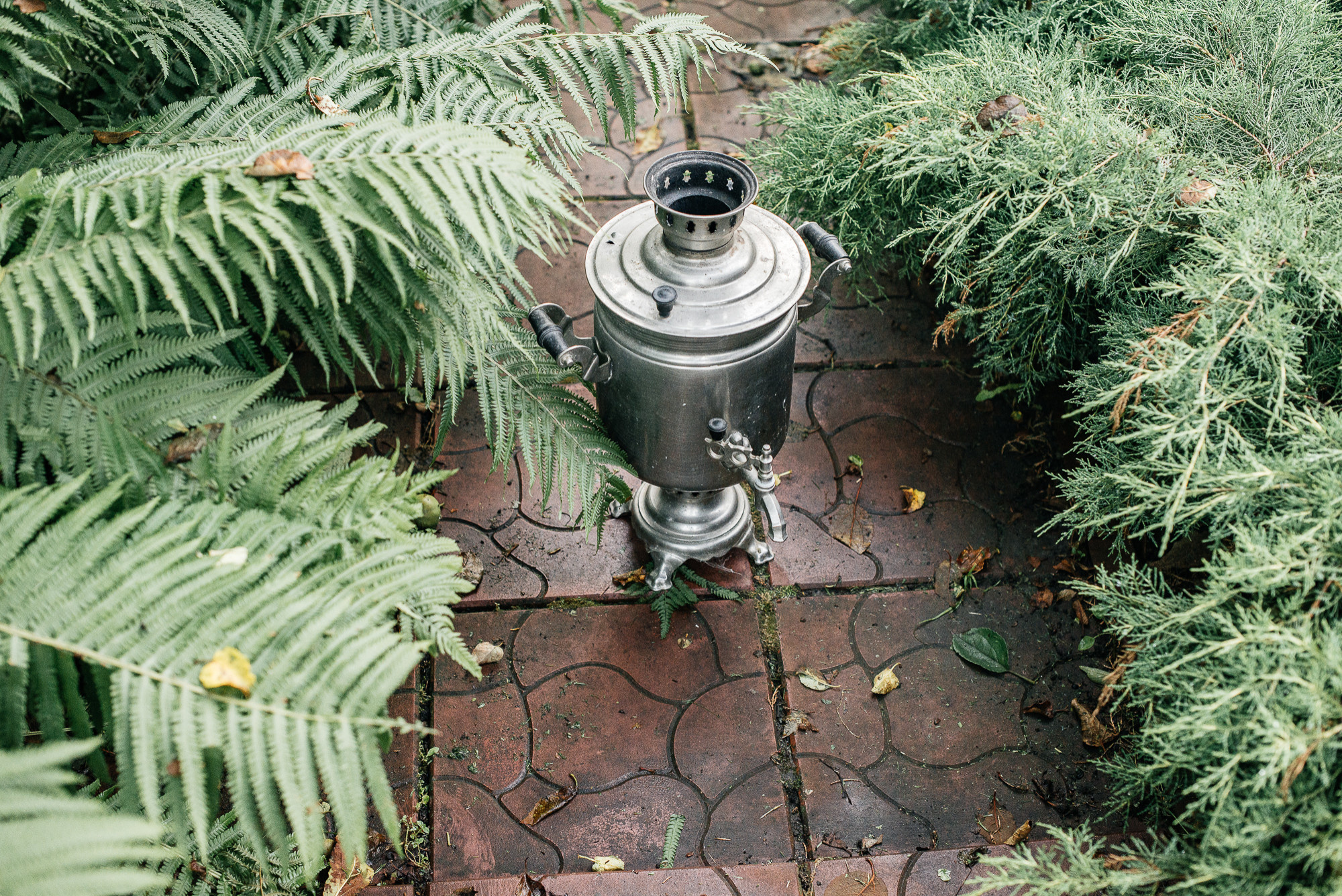 Как правильно: Составить травяной чай