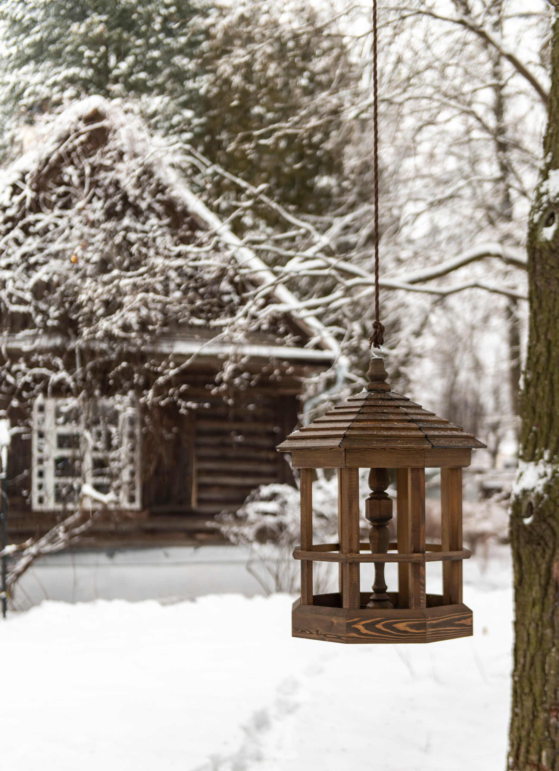 Как украсить дом к Новому году: Пример декоратора Жени Ждановой