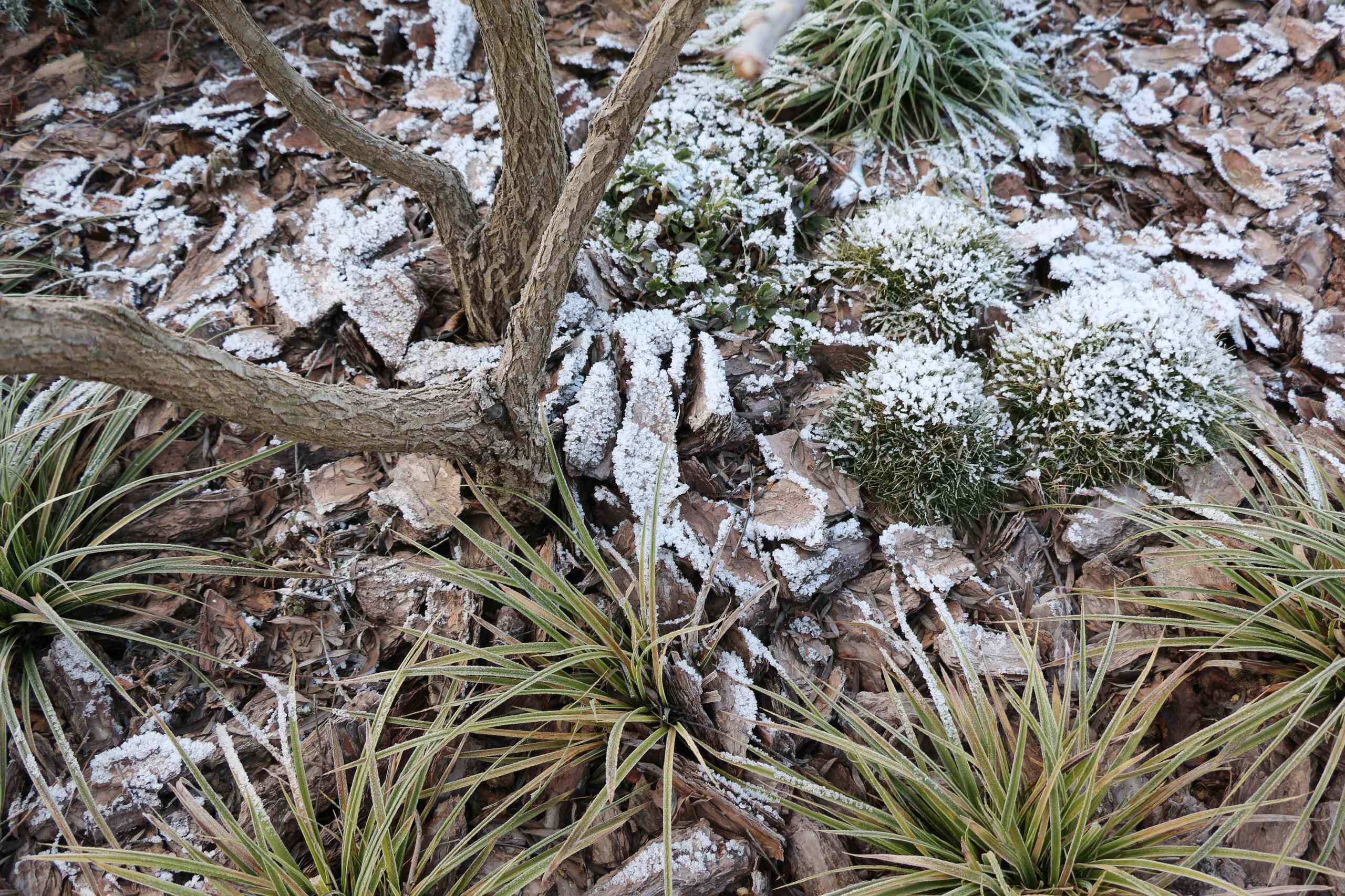 Время: Как быстро (или долго) делается проект ландшафта
