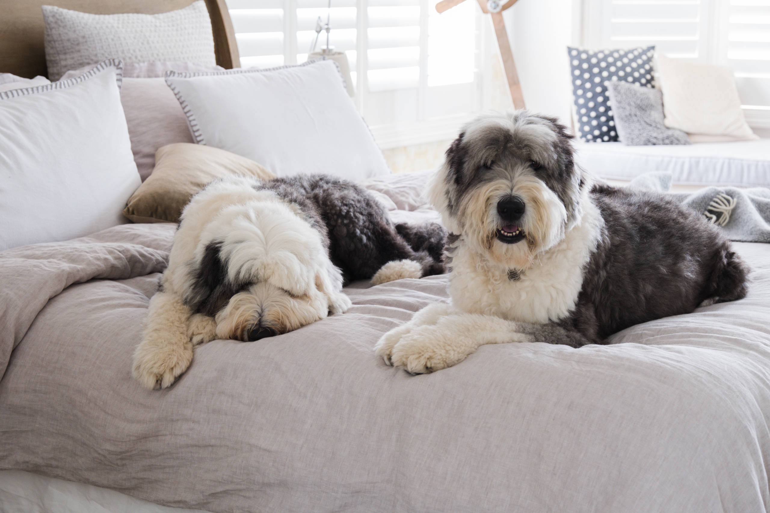 Ситуация: Заказчики разводятся в процессе ремонта