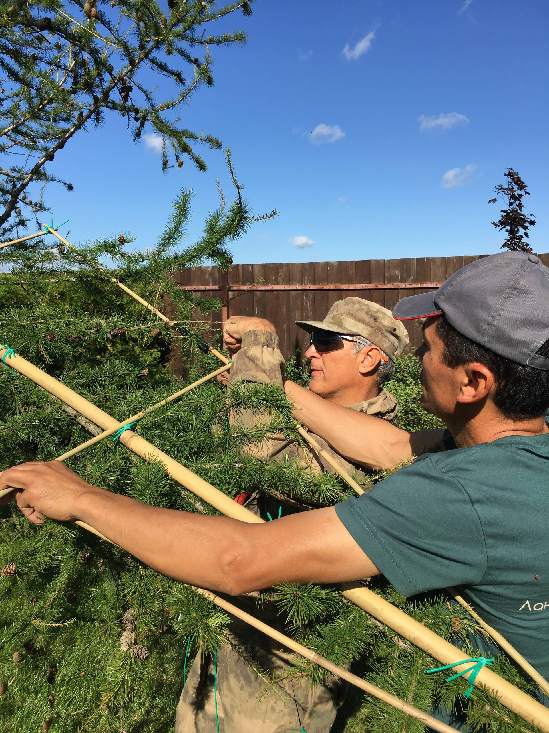 Проект недели: Сад, где любуются просторами от восхода до заката