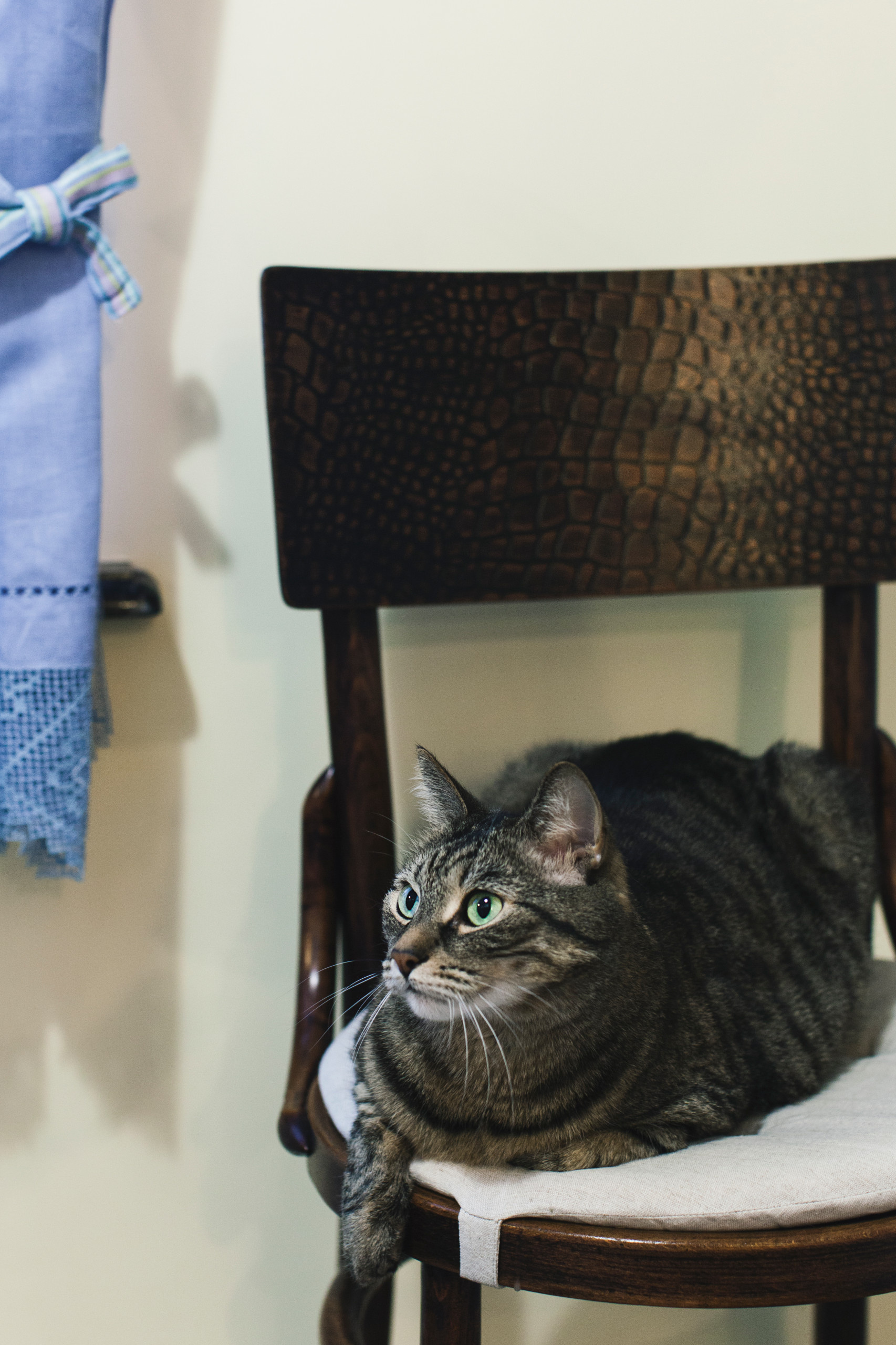 В гостях: «Квартира профессора Преображенского» на Чистых прудах