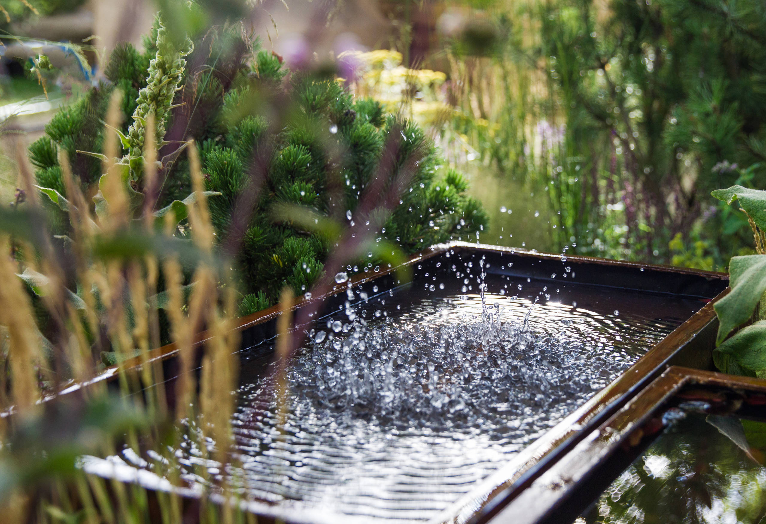Проект недели: Английский сад о звуке, удивившем мир садоводства