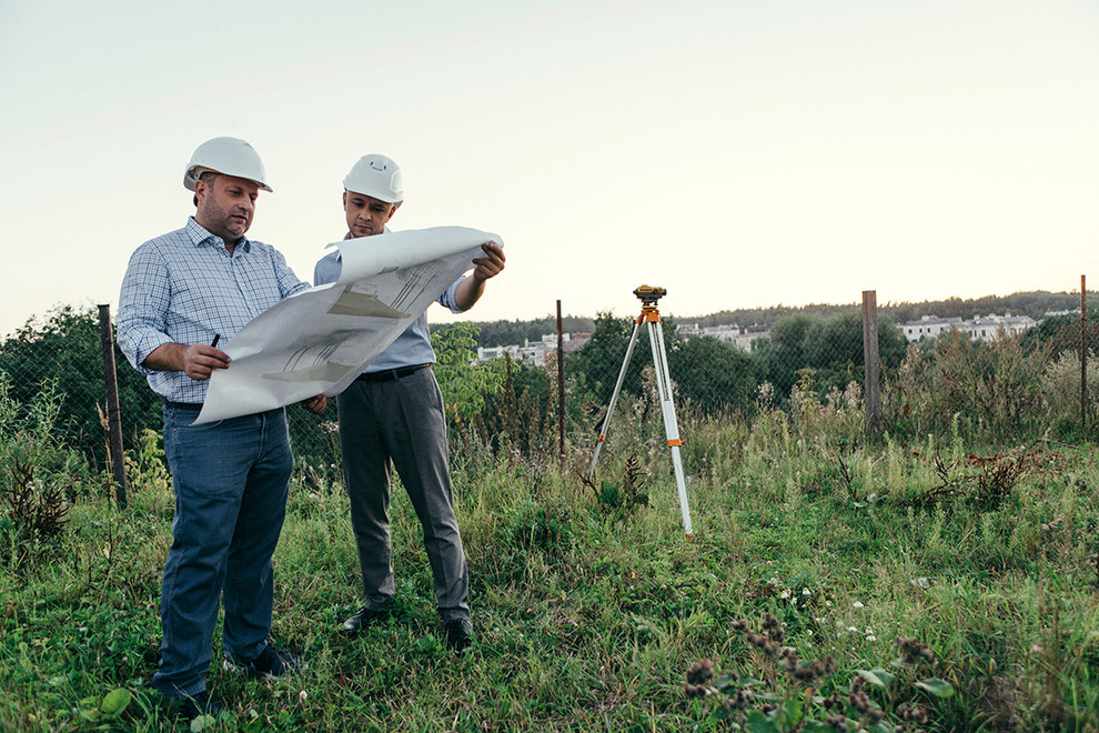 Хороший вопрос: Как спасти деревья на участке во время стройки дома