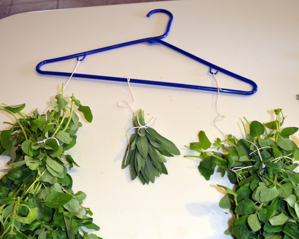 Как правильно: Составить травяной чай