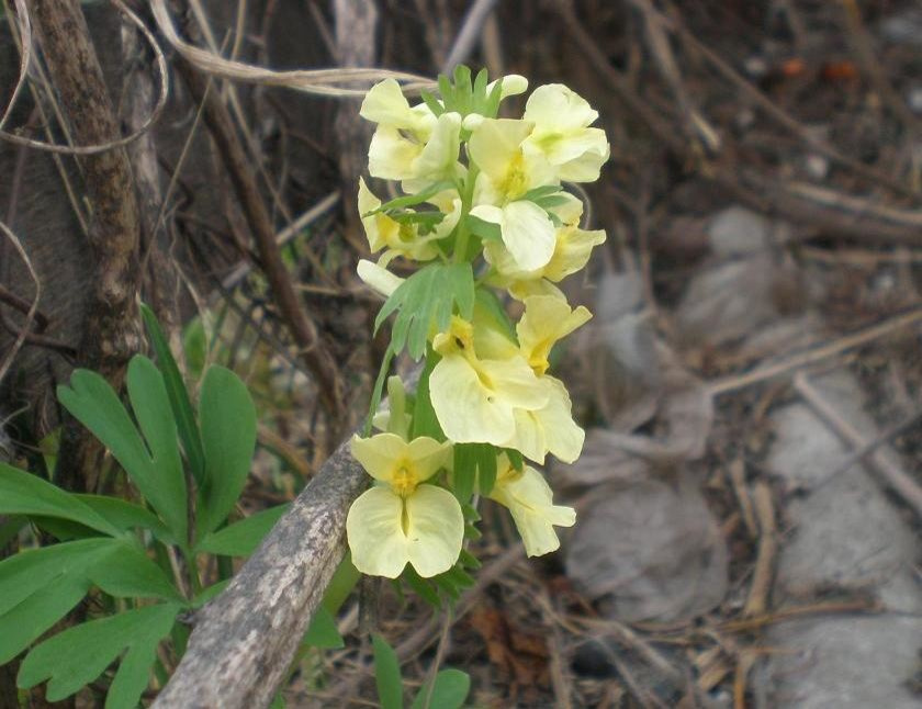 Как правильно: Провести генеральную уборку на садовом участке