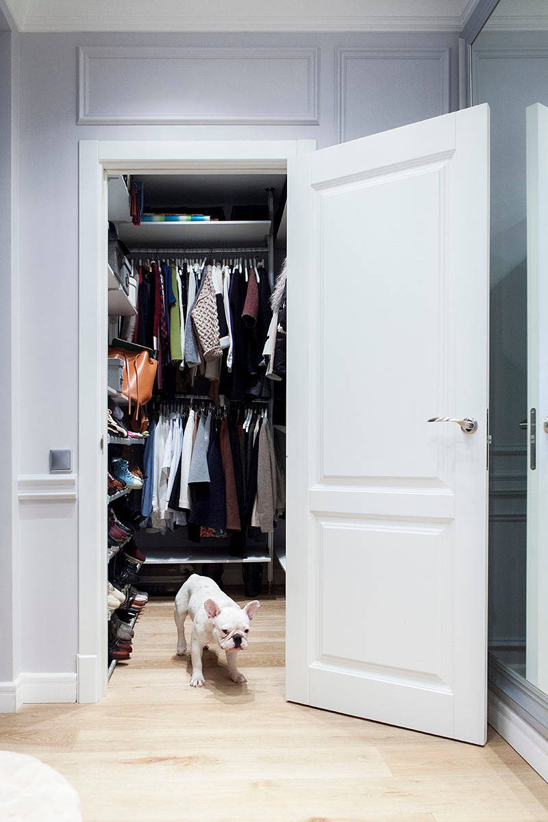 В гостях: Маленькая квартира для молодой девушки-юриста, кошки и собаки