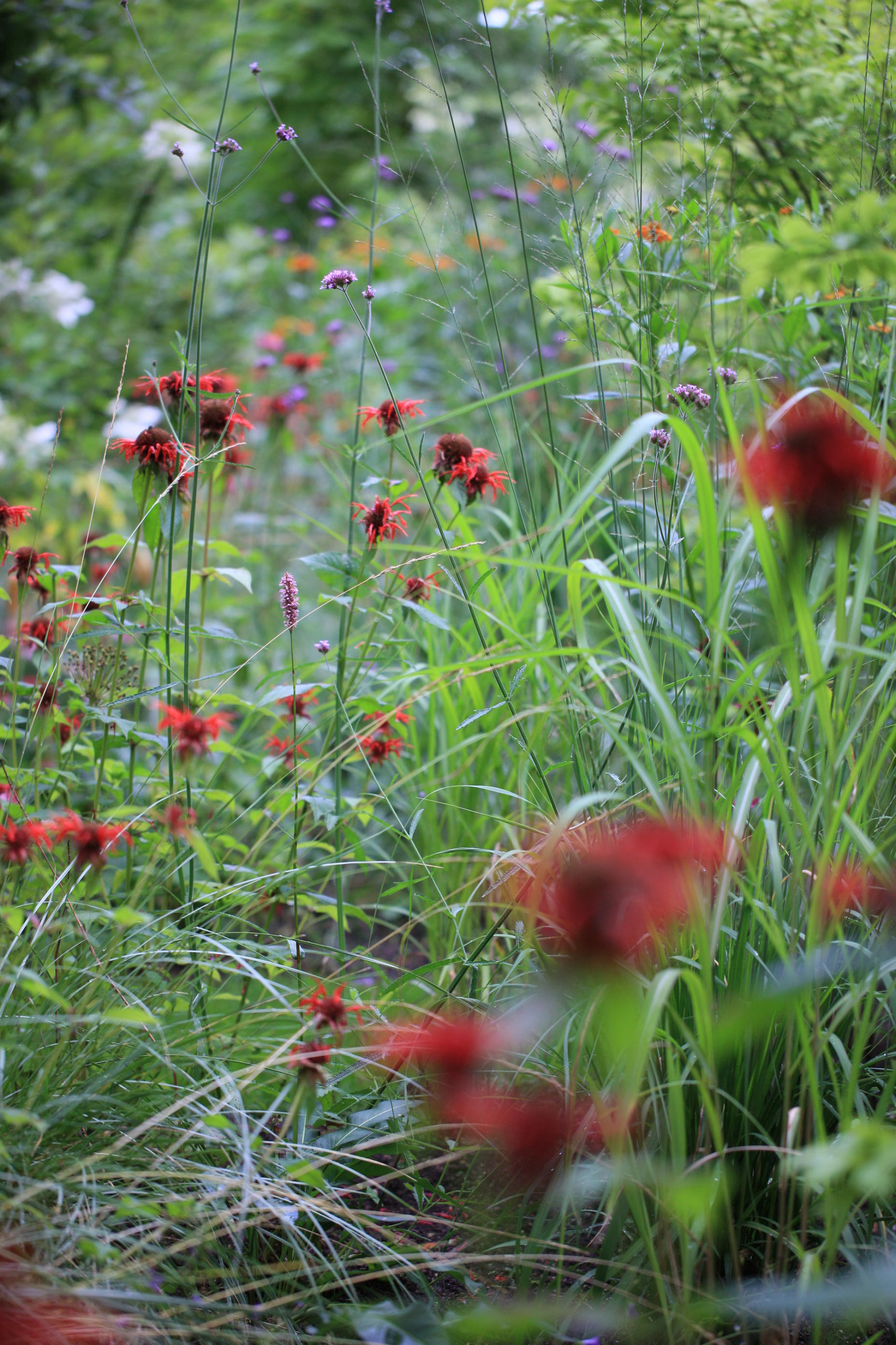 В гостях: Сад на 14 сотках, где живут круглый год
