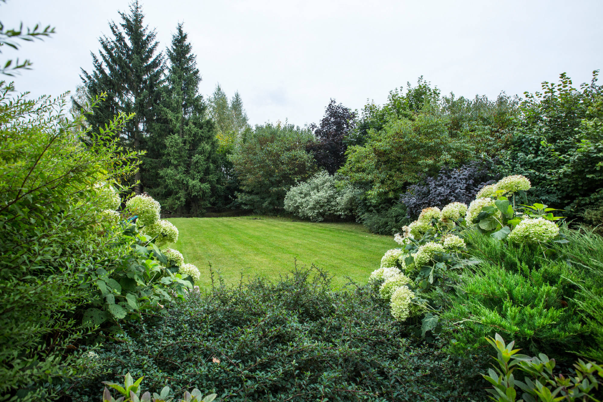 Проект недели: Сад для жизни с растениями на подпорных стенах