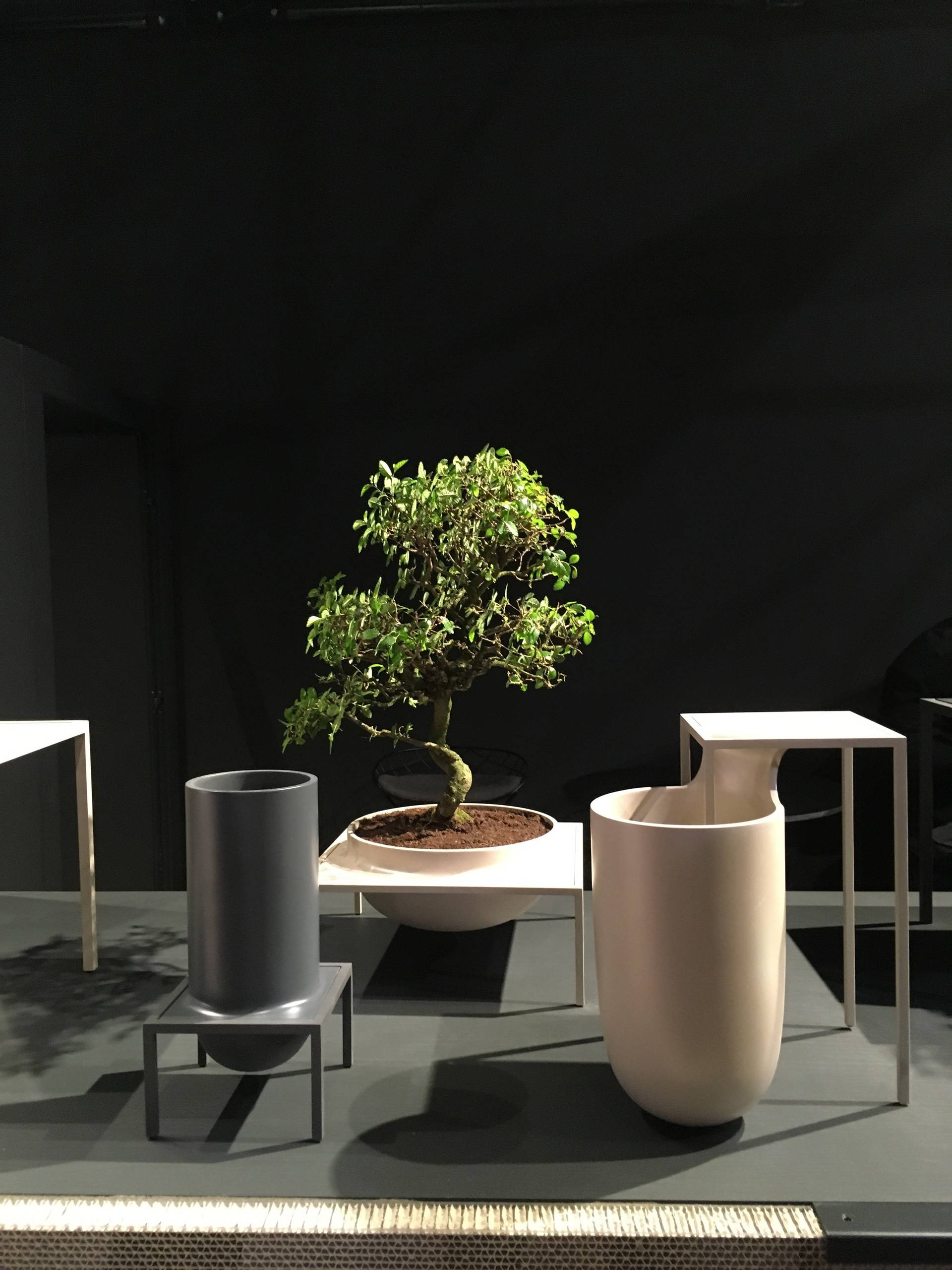 Микротренды: Мода на сад в интерьере. Внезапно иной