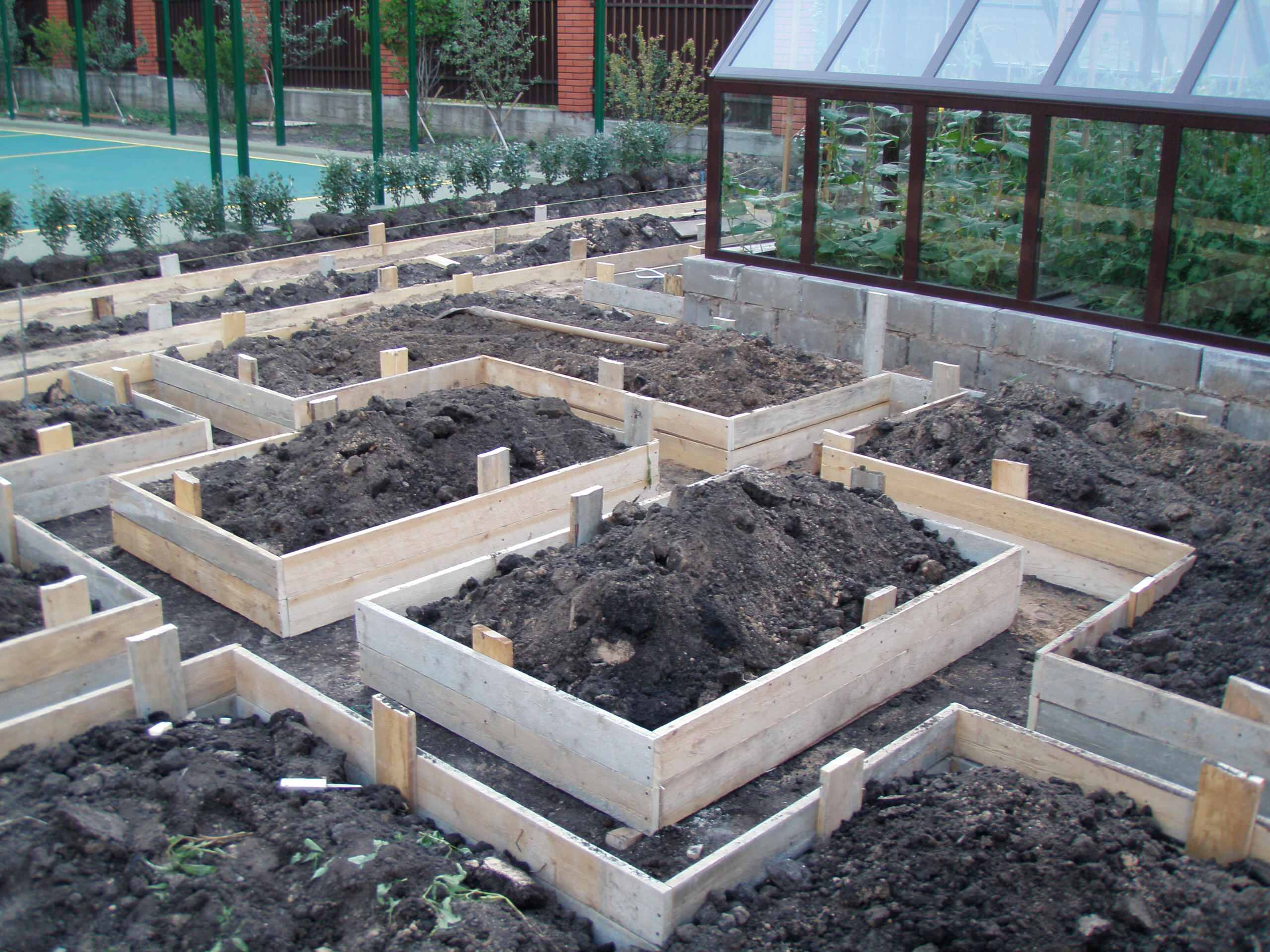 Как правильно: Сделать декоративный огород