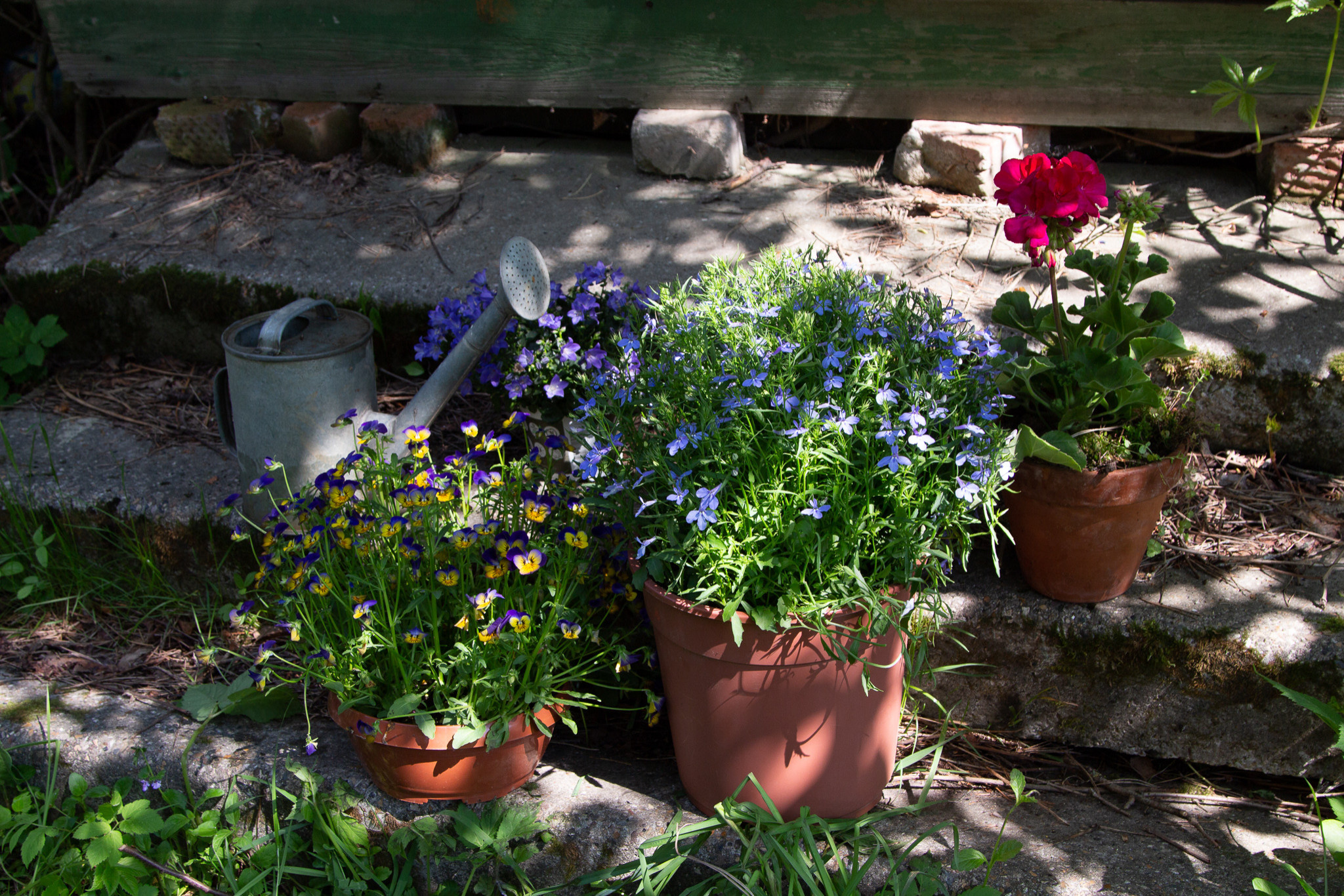 В гостях: Советская дача дизайнера Наташи Ломейко