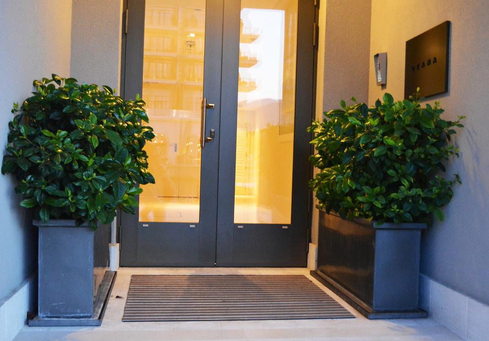 Если подоконник занят: Как озеленить квартиру иначе?