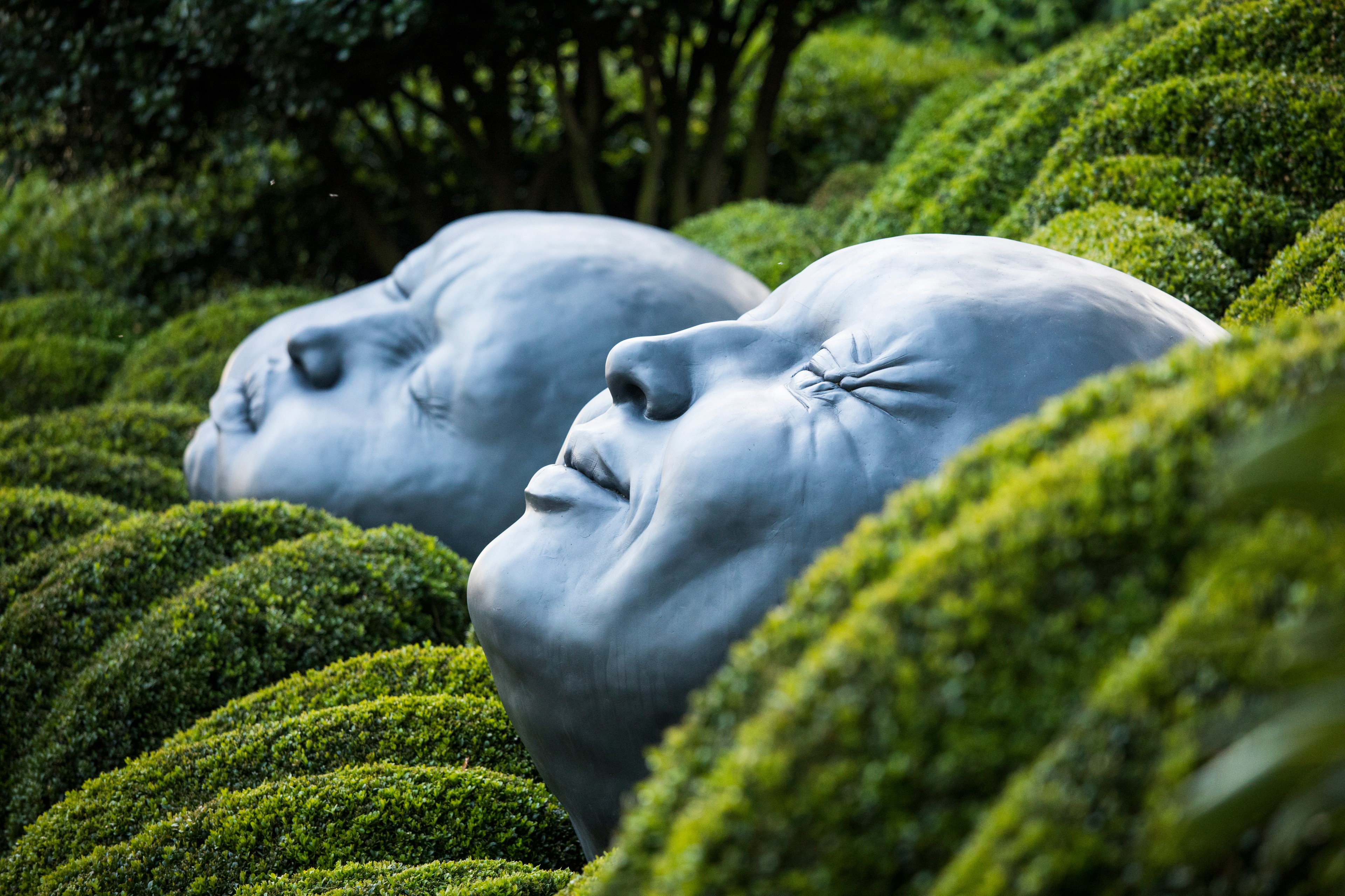 Проект недели: Сад русского дизайнера в нормандском Этретa