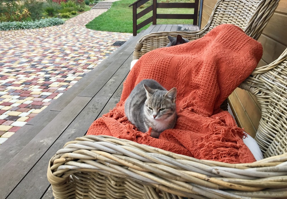 Проект недели: Пестрый сад в Рязанской области