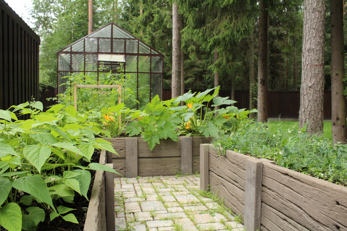 Level Up: Создаем сад после недавней постройки дома