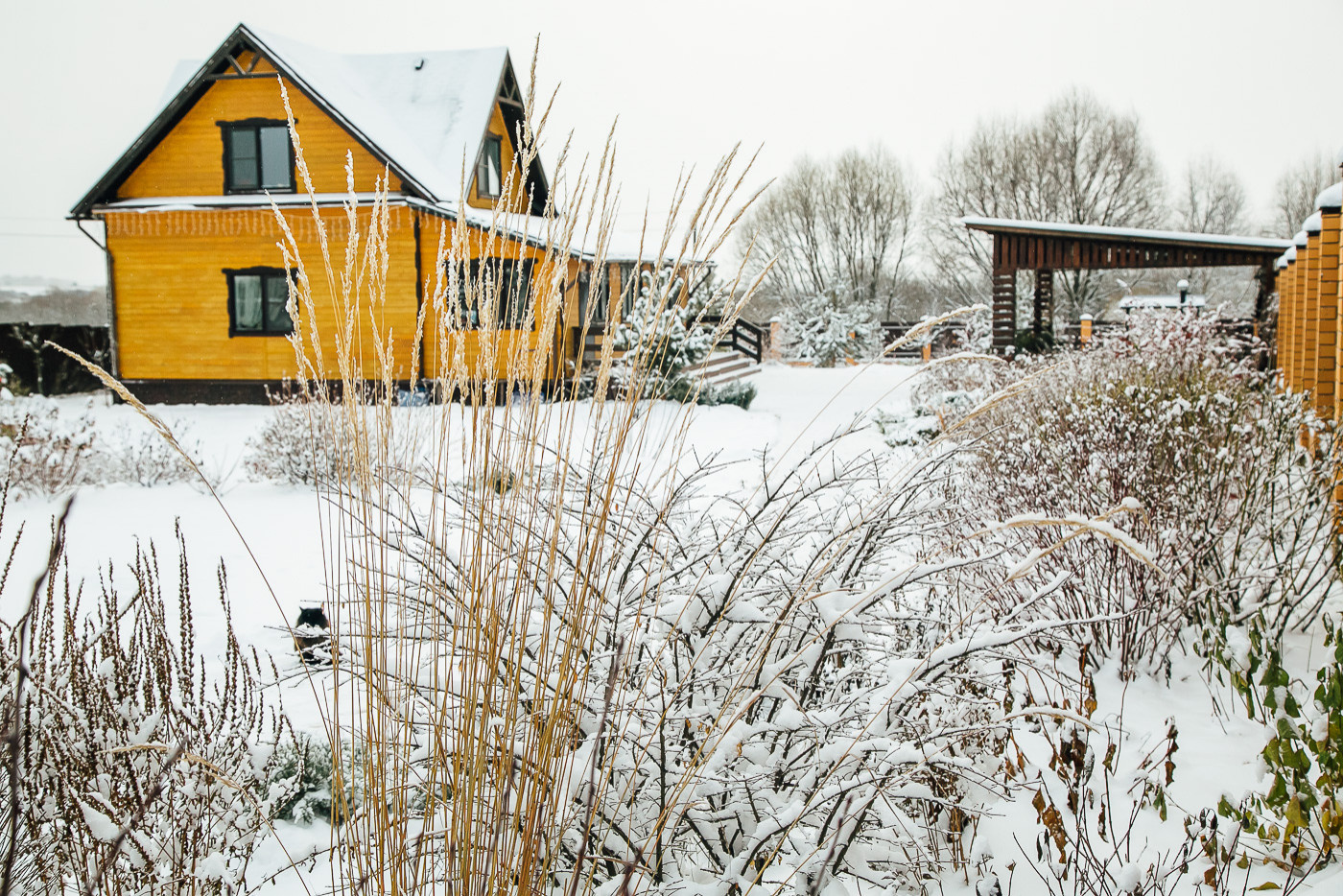 В гостях: Сад под Рязанью в ожидании праздника