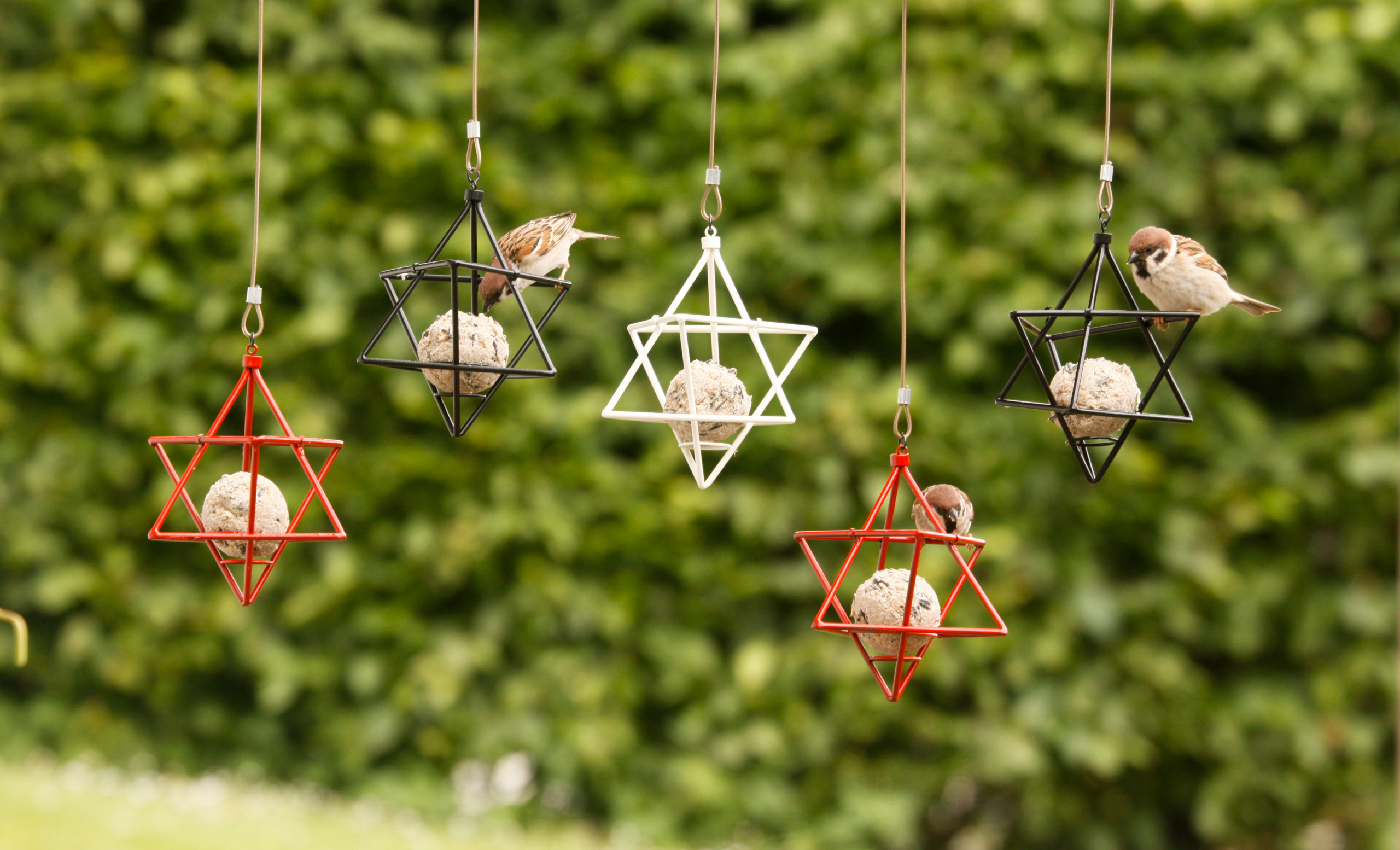 Тайный фэншуй: Тонкости правильного переезда