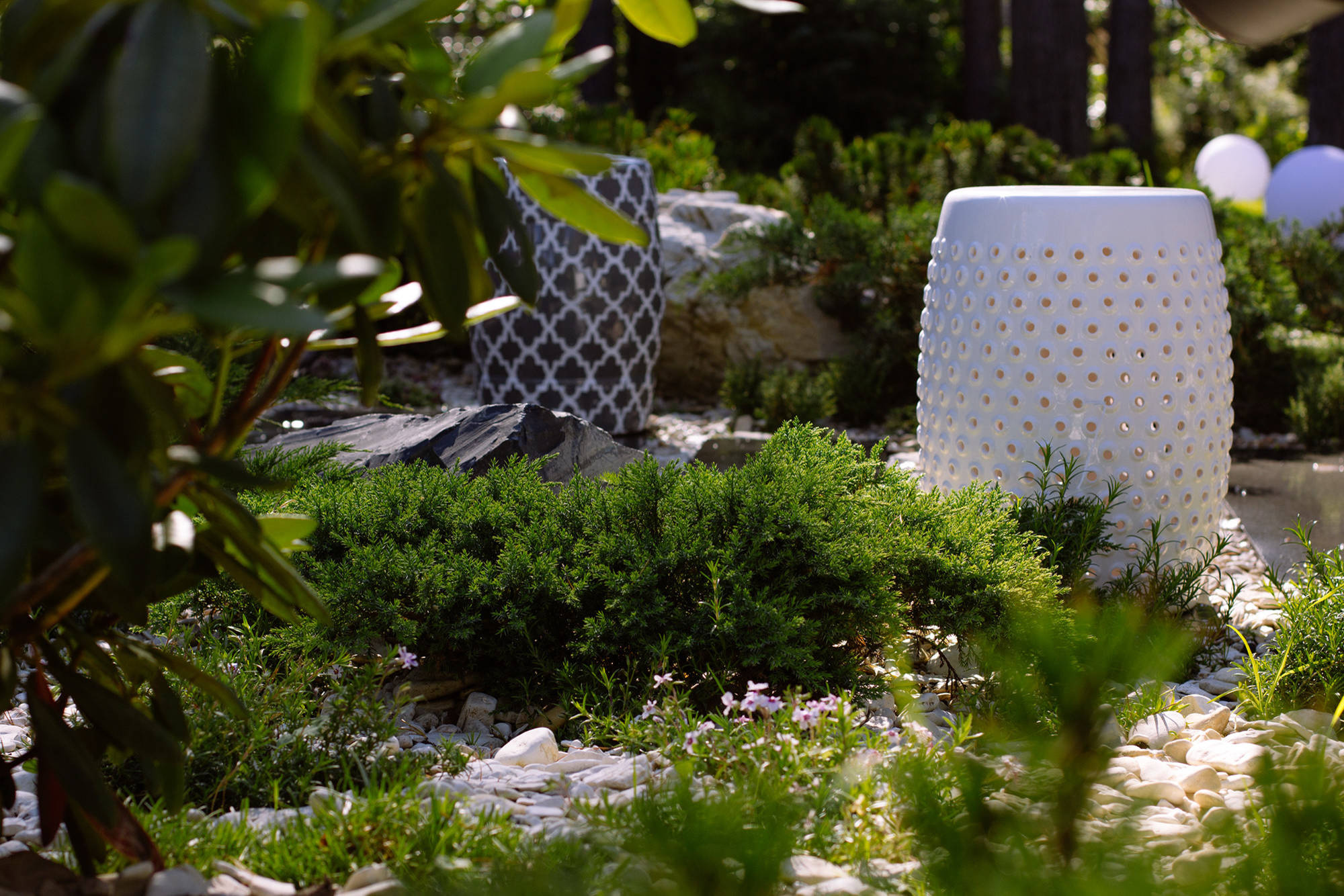 Хочу-могу: Сад «с нуля» —за 500 тысяч, 1 млн и 1,5 млн