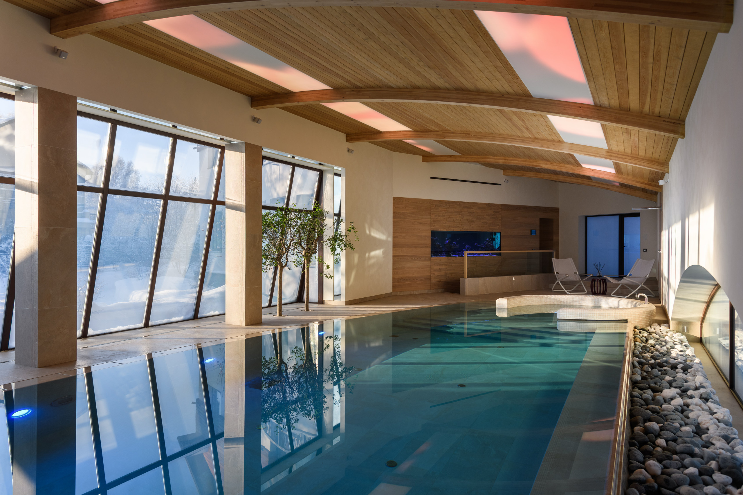 Личный опыт: Зачем я высаживала деревья внутри бассейна