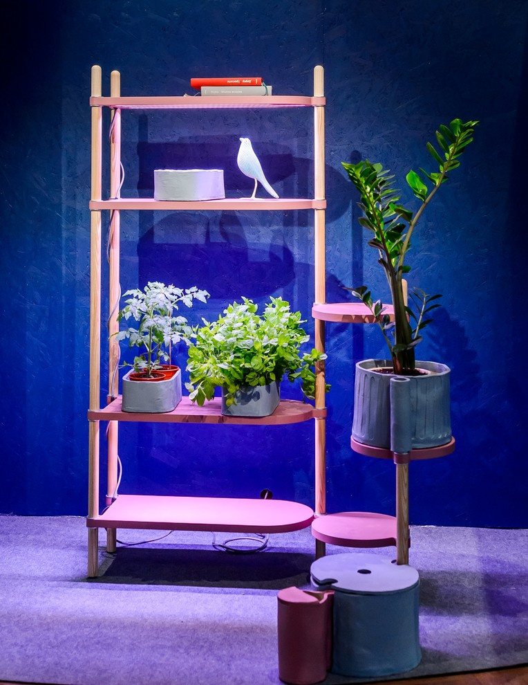 Пересадка комнатных растений: Что я делаю не так