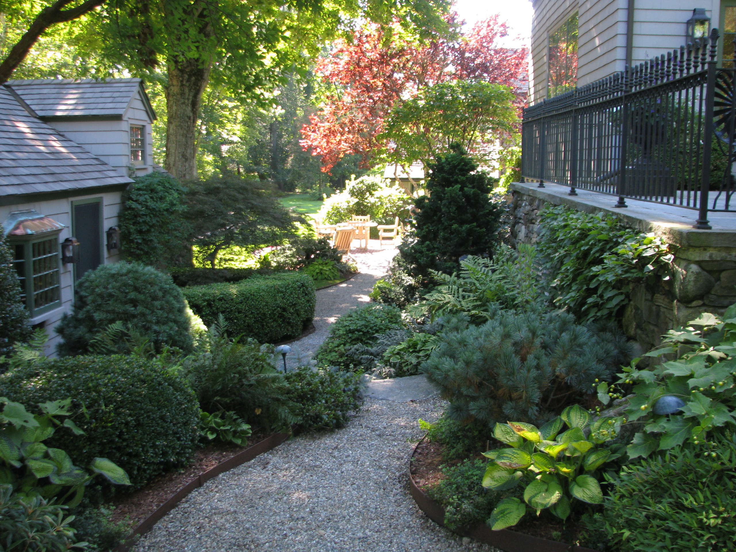 Зачем вам: Растения, которые можно вытаптывать