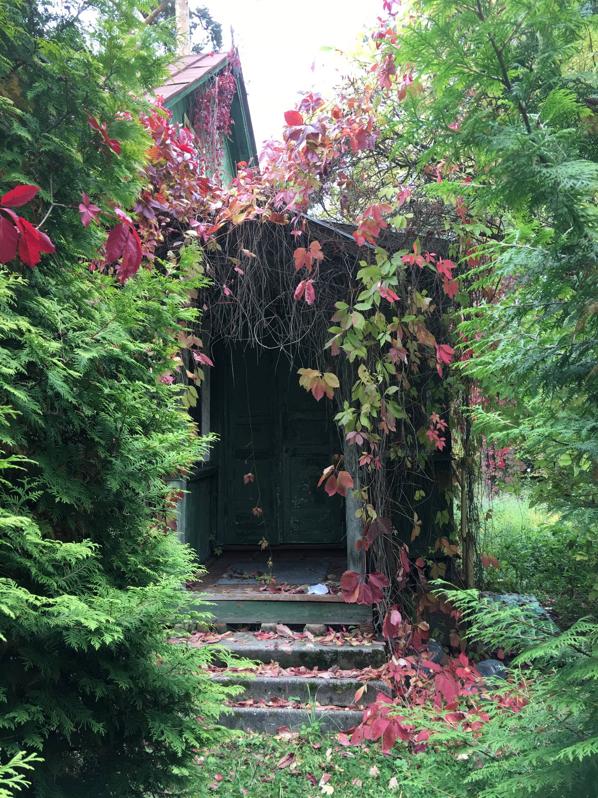 В гостях: Советская дача дизайнера Наташи Ломейко