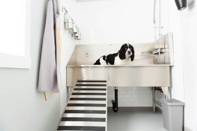 Мелочи жизни: Нужна ли вам раковина для ботинок