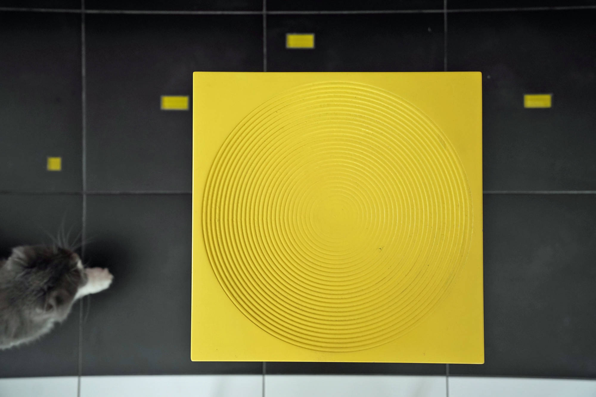 Houzz тур: Очень быстрый (и бюджетный) гостевой дом в Подмосковье