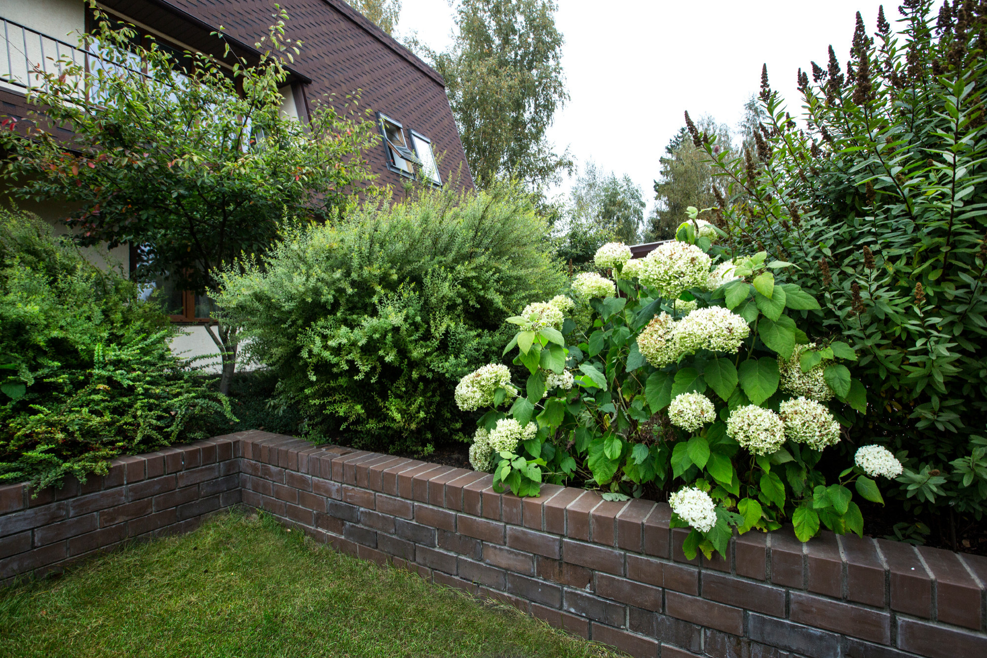 Проект недели: Сад для жизни с растениями на подпорных стенах