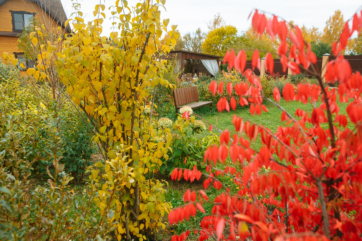 Проект недели: Пестрый сад в Рязанской области