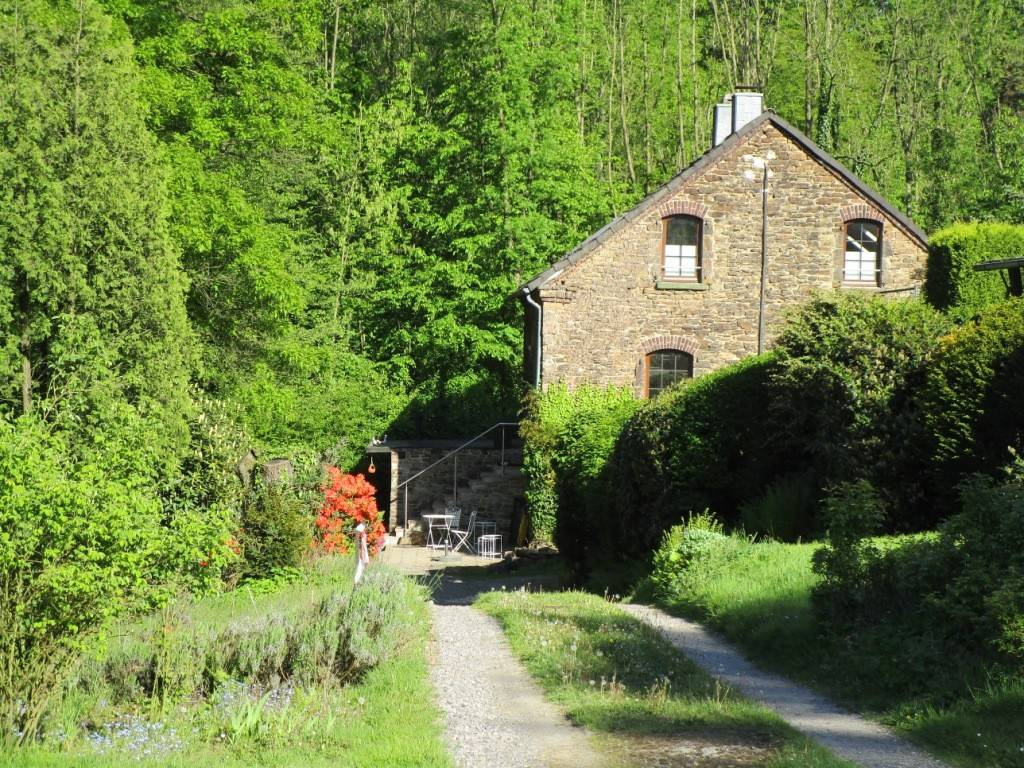 Прогулка на диване: Дома в глухом лесу