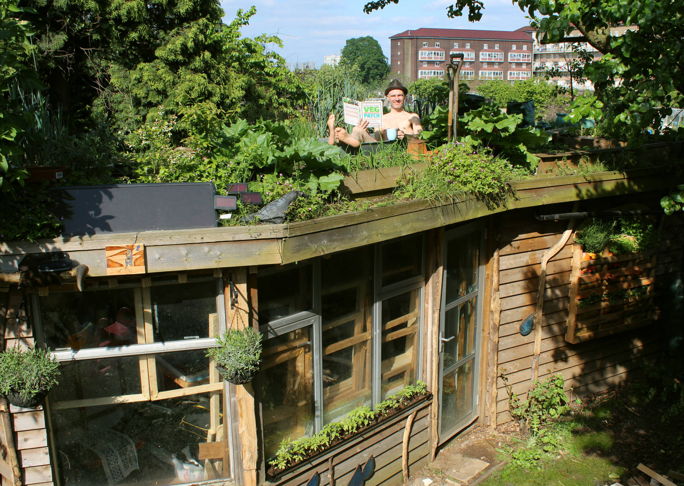 Фотоохота: 81 идея обустройства крыши на летний период