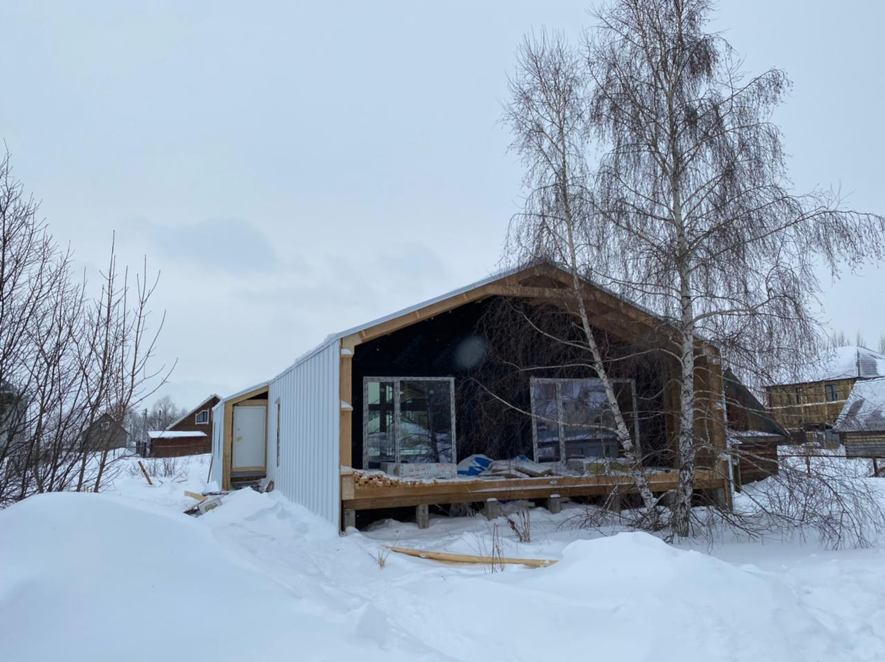 Личный опыт: Как я рубил гигантское дерево на участке