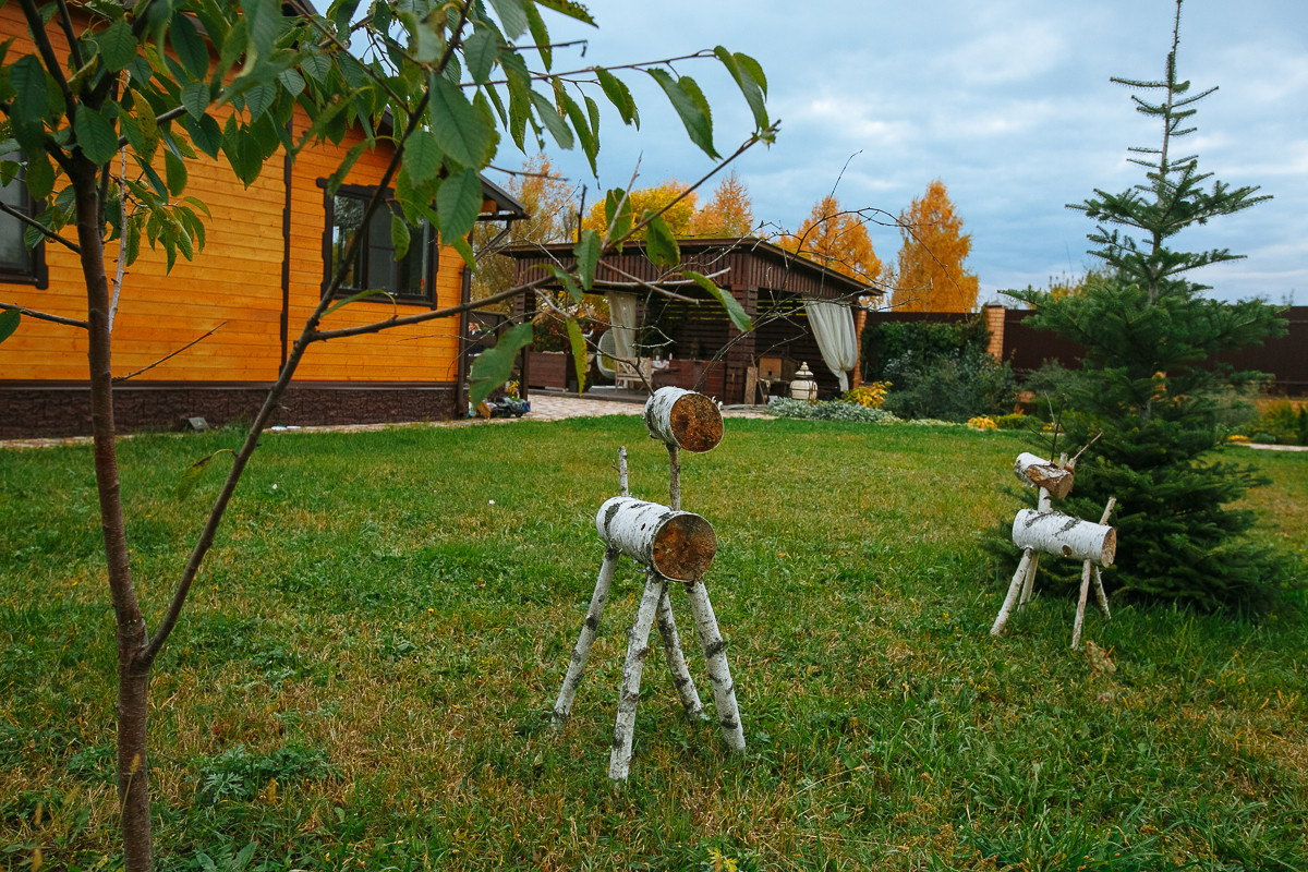 Проект недели: Пестрый сад в Рязанской области