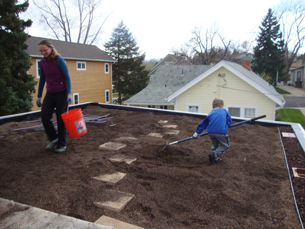 Сад на крыше: Как правильно выбрать растения