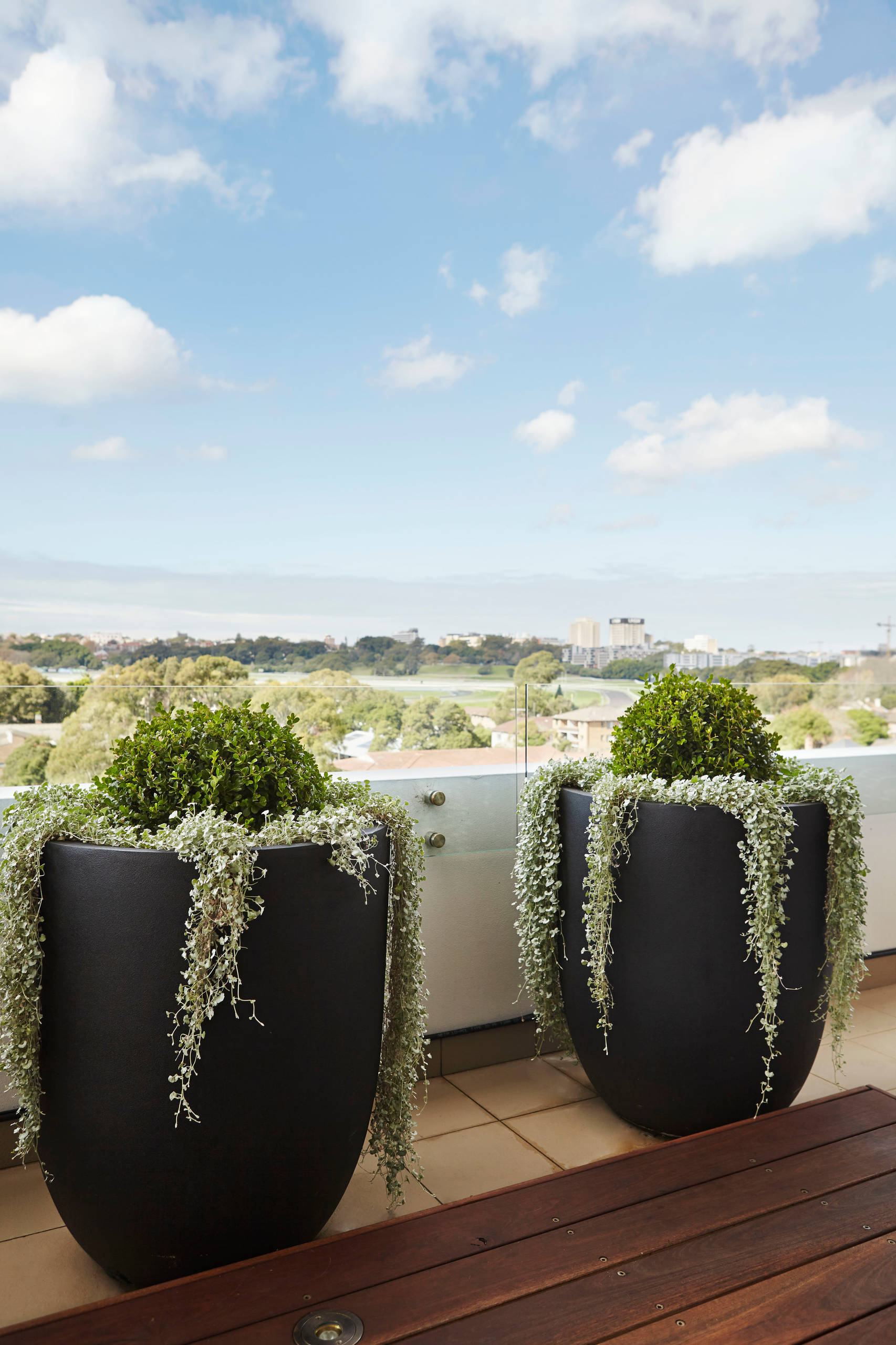 Азбука садовода: Каким садовым растениям надо зимовать внутри дома