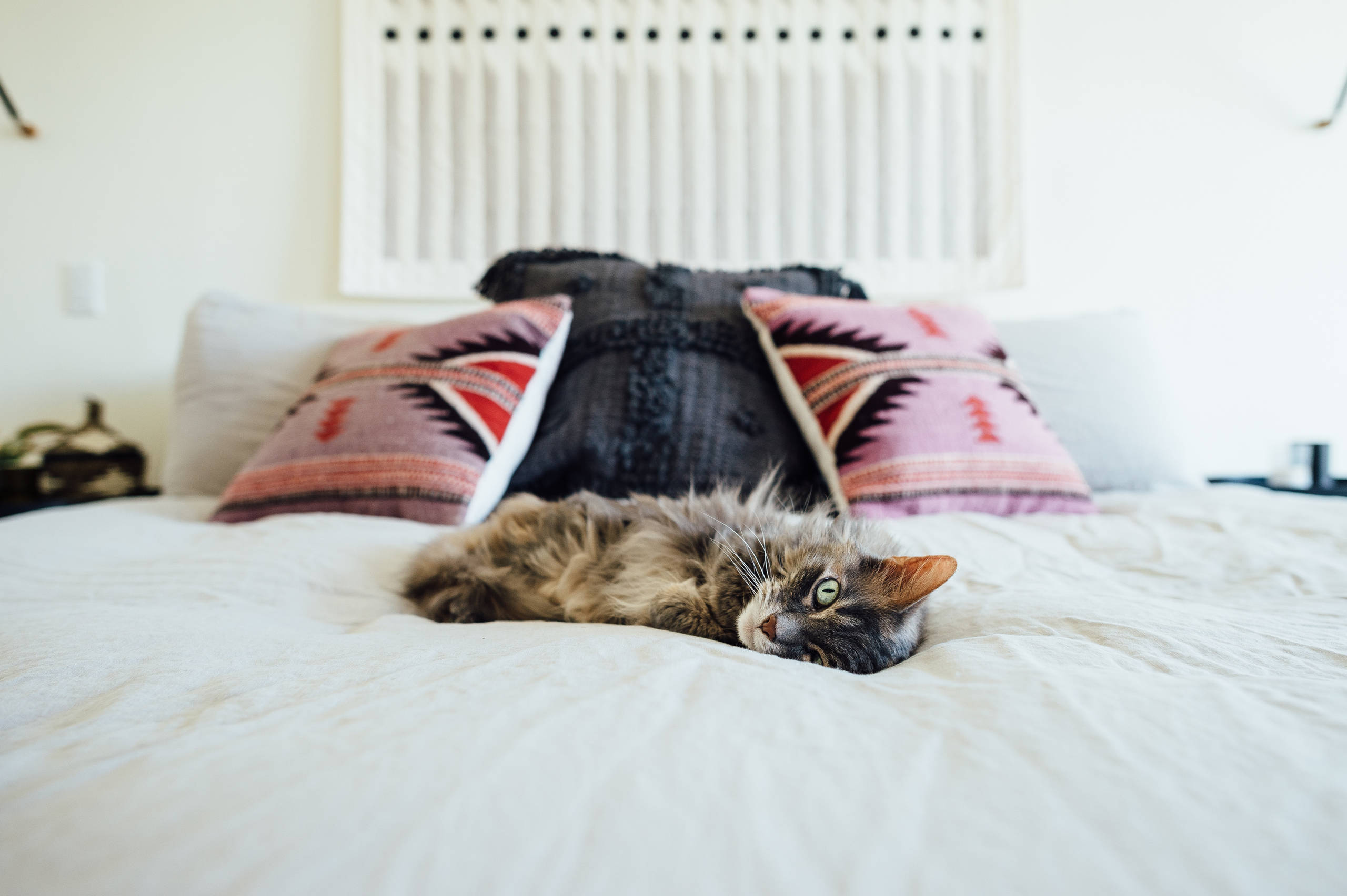 Вопрос: Какое одеяло выбрать