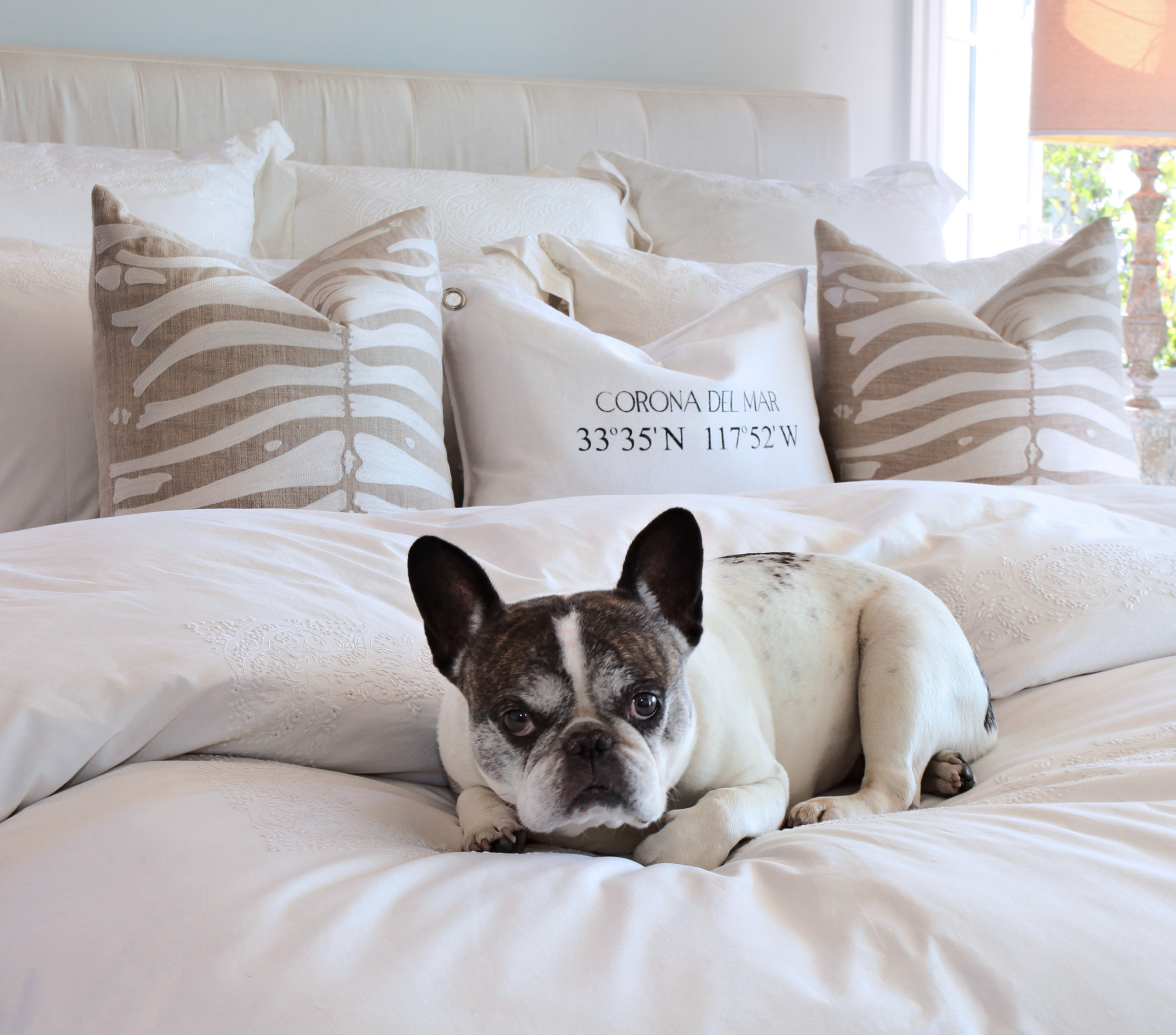 Вопрос: Какое одеяло выбрать