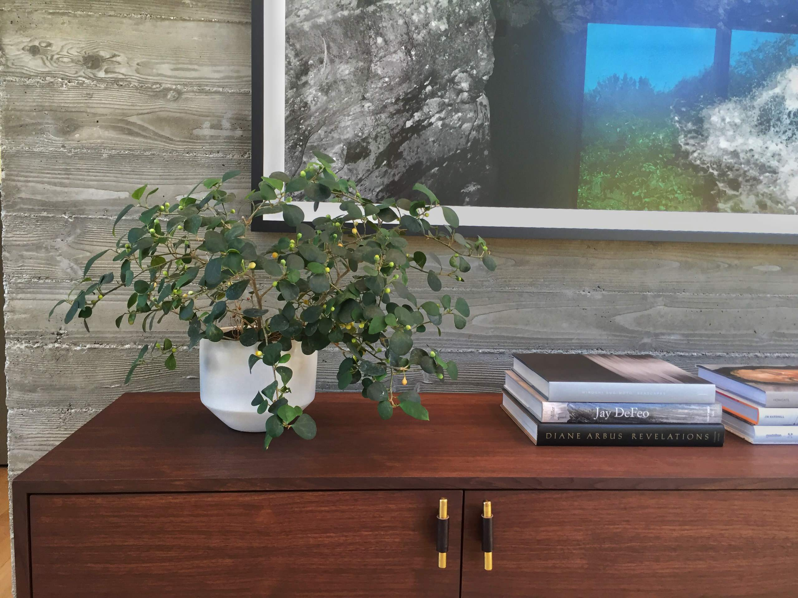 Вопрос: Чем заменить землю для растений в горшках