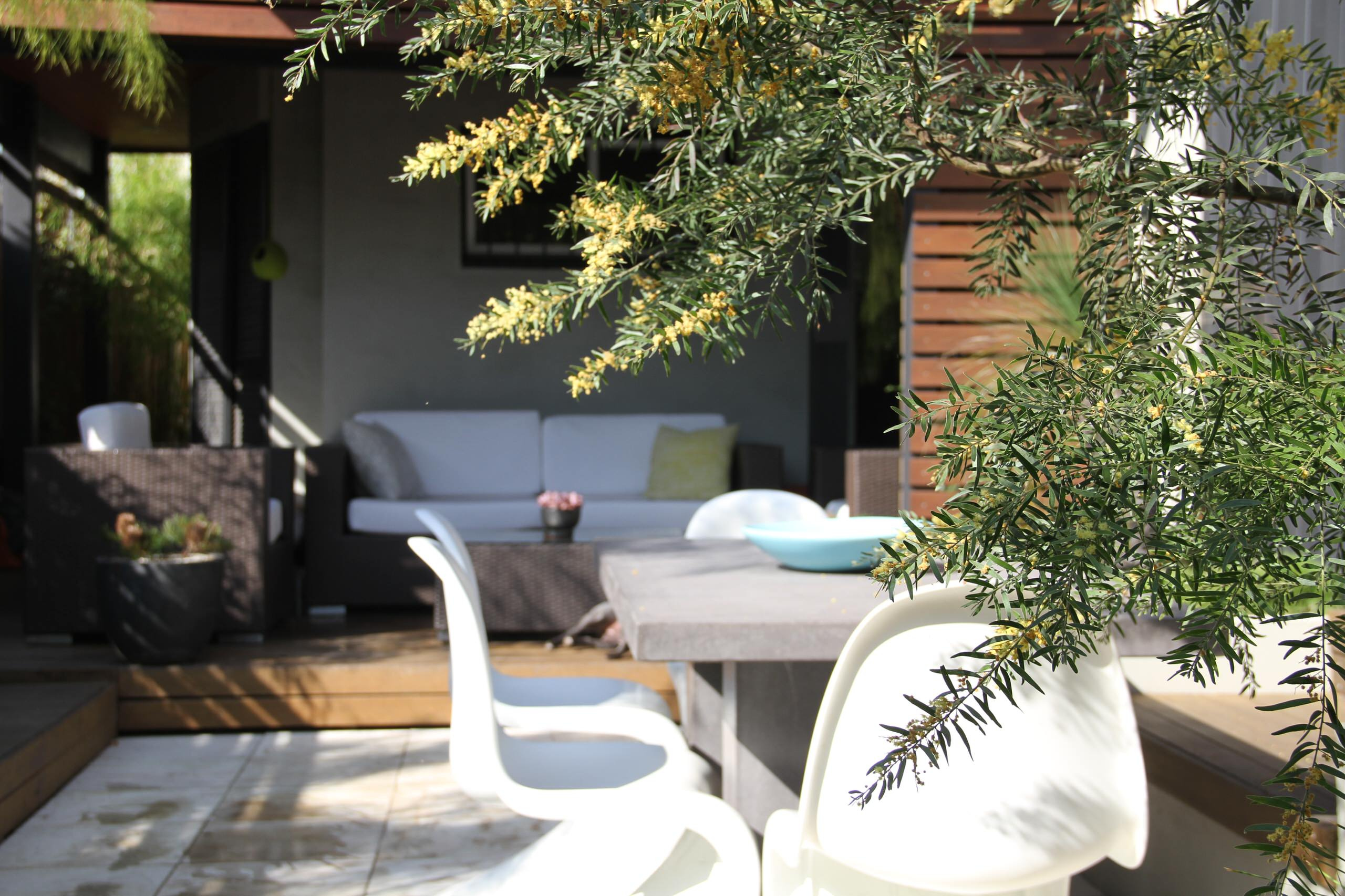 Вопрос: Сад, интерьер и зимний сад — как их связать воедино