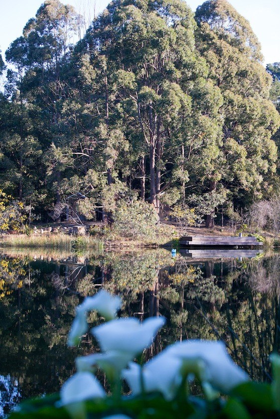 Личный опыт: Жизнь в Финляндии — быт и нравы