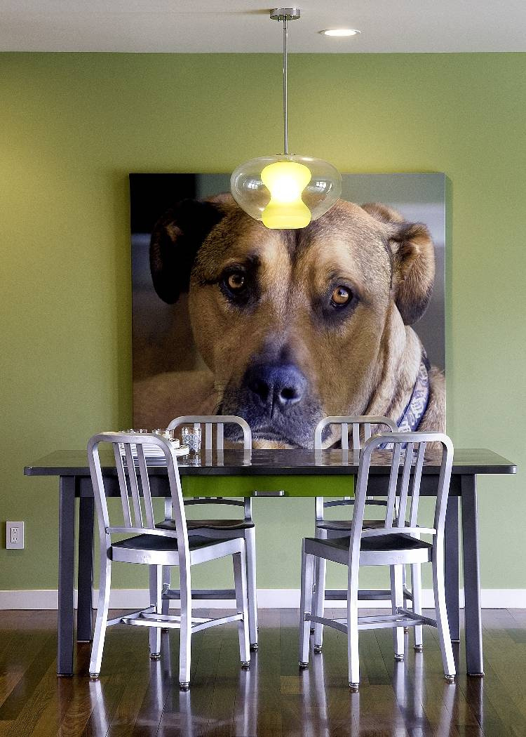 Смартфон в помощь: Как красиво фотографировать на телефон