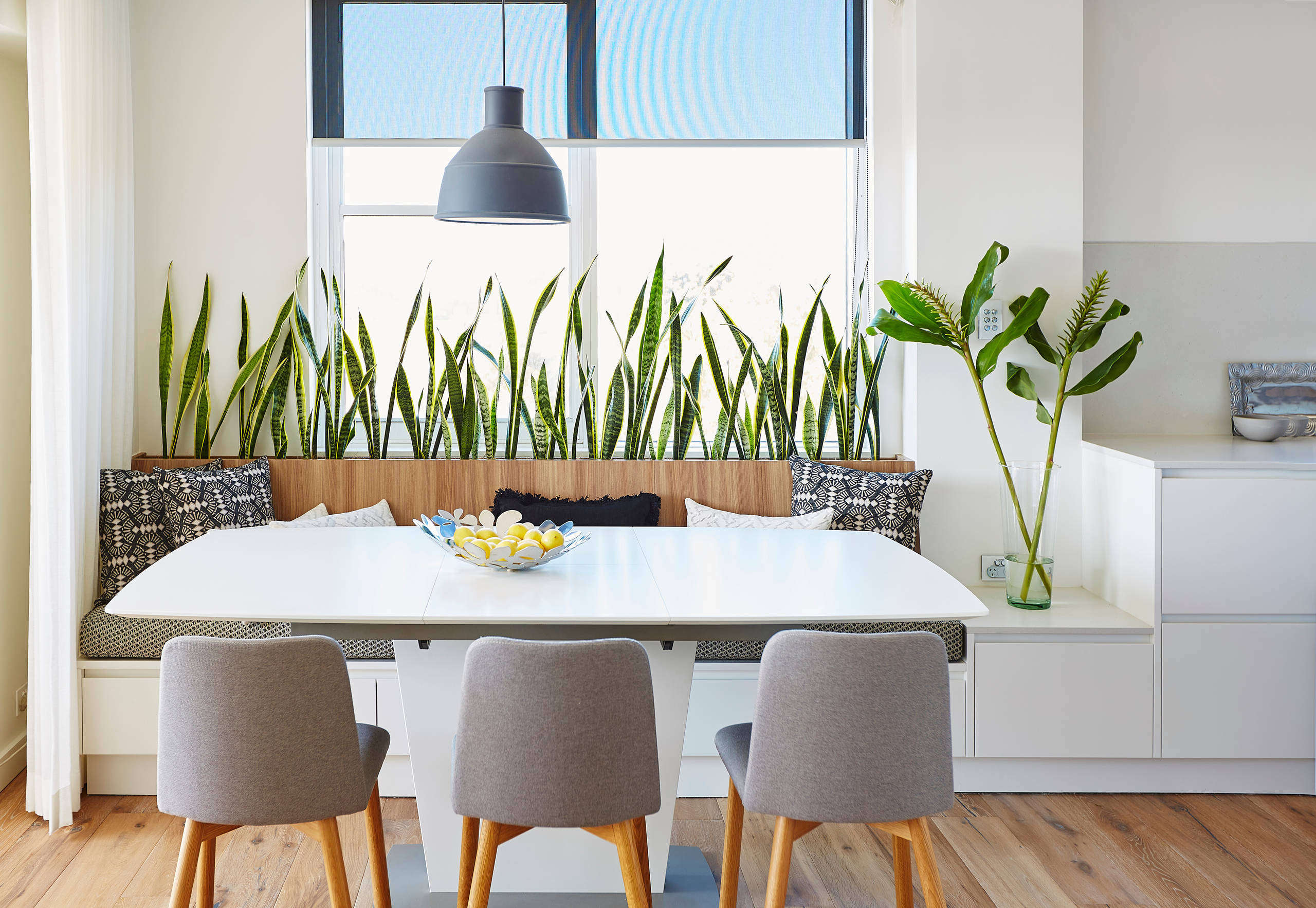 Если подоконник занят: Как озеленить квартиру иначе?