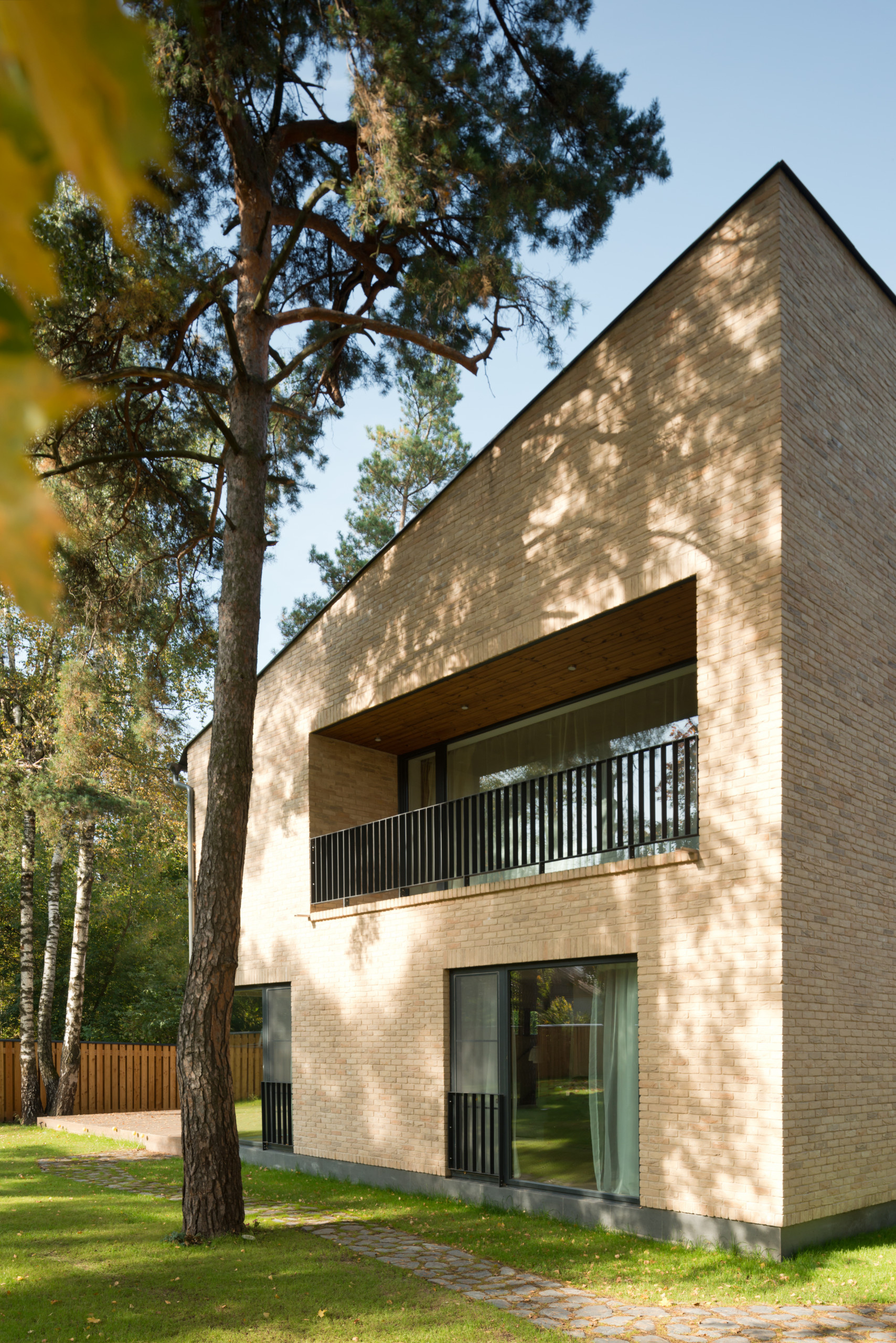 Хороший вопрос: Как спасти деревья на участке во время стройки дома