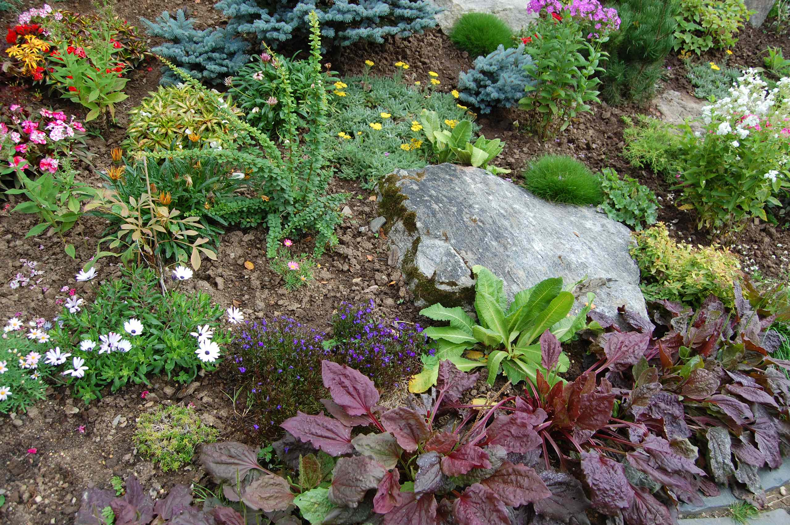 Проект недели: Сад, в котором дом «стоит» на цветнике