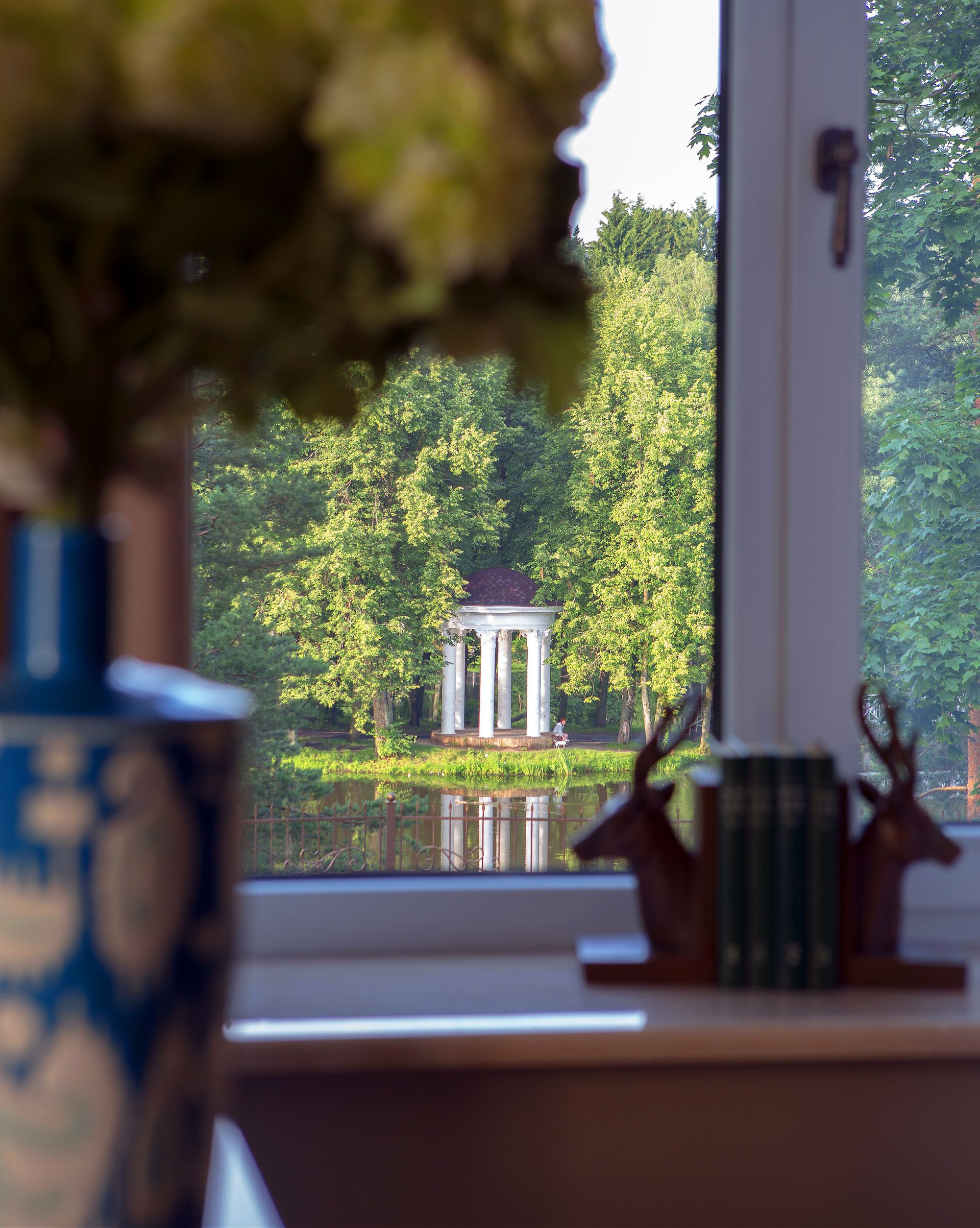 Управляй вниманием: Как показать сад во всей его красе