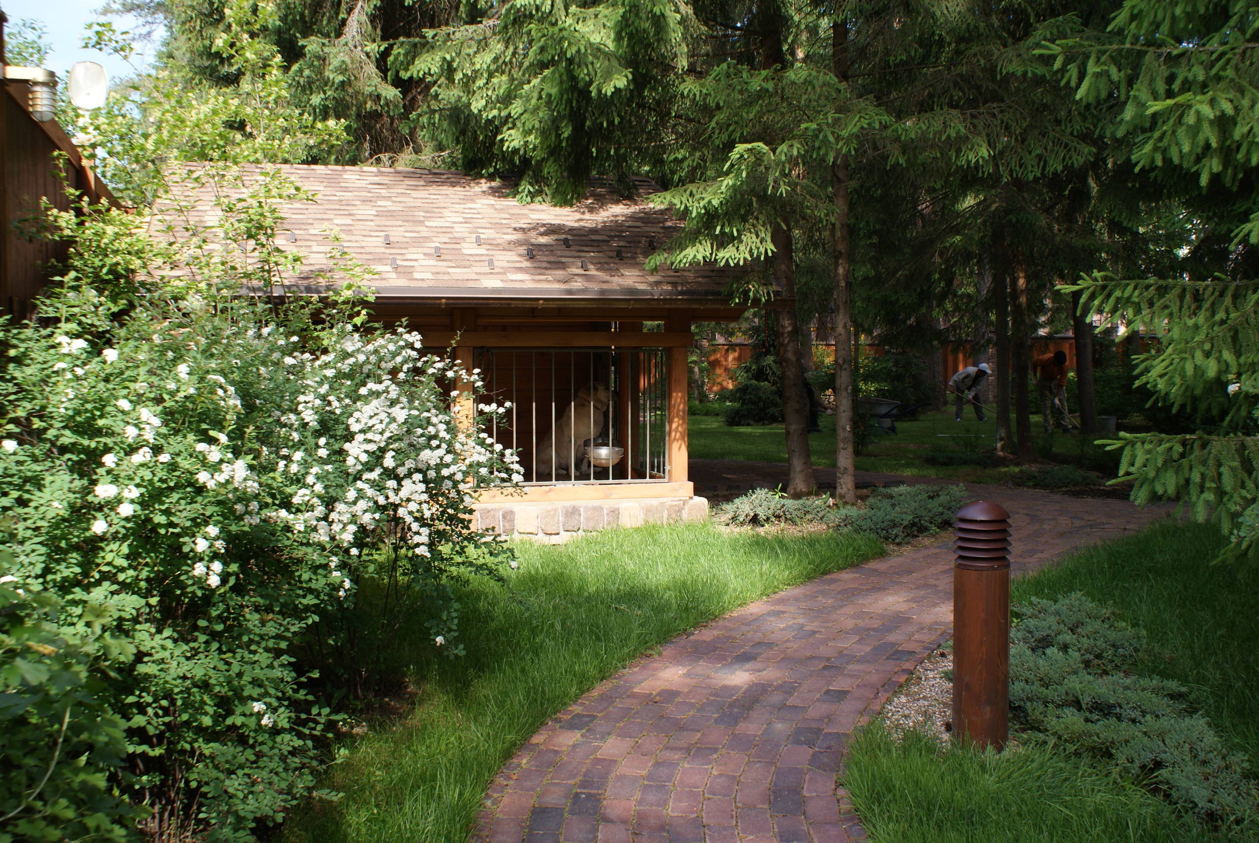 Прогулка на диване: Дома в глухом лесу